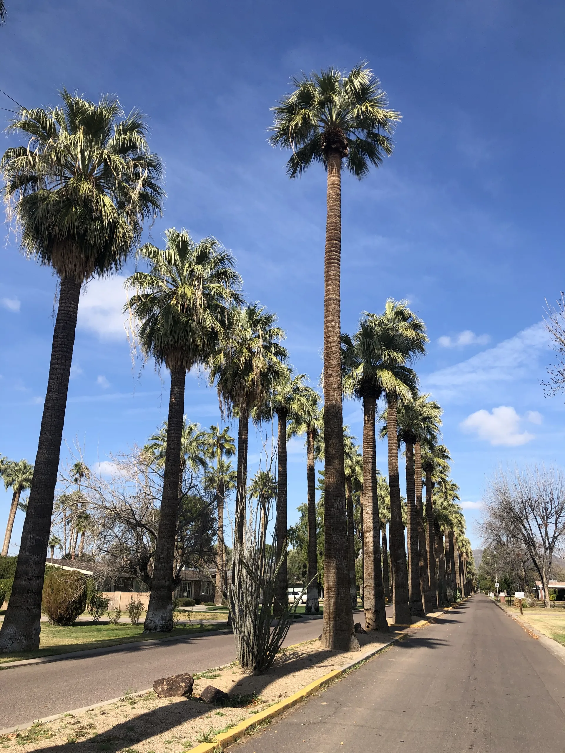 Foodie Judy OnlyFans header