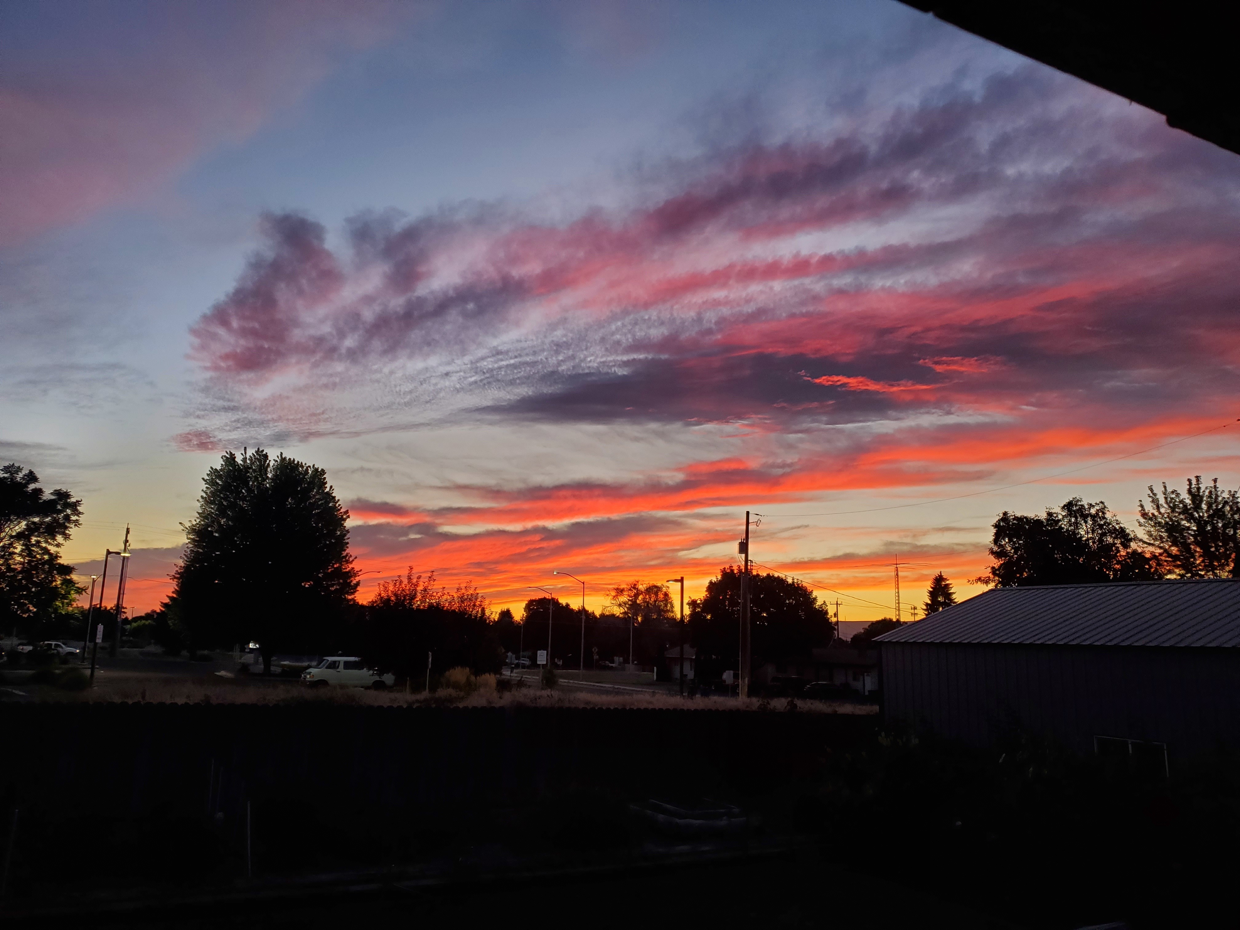 Fookie Bookie OnlyFans