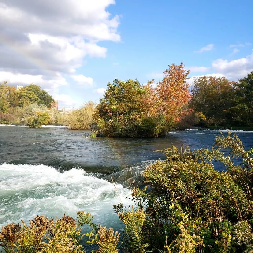 NuDream OnlyFans header