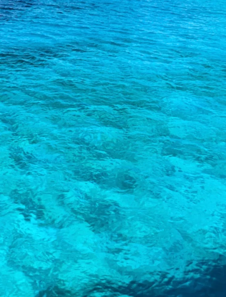 Renee OnlyFans header