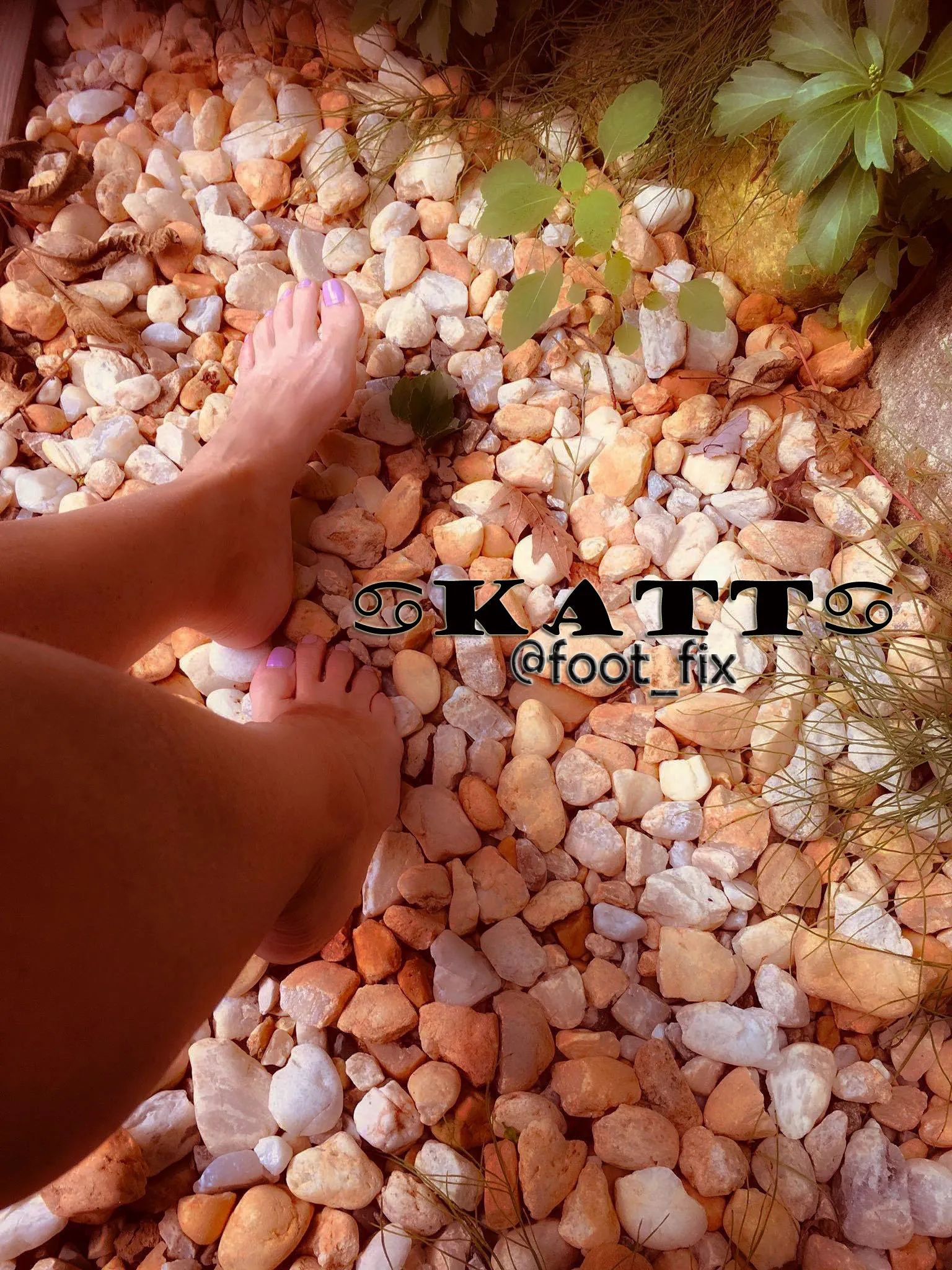 Katt OnlyFans header