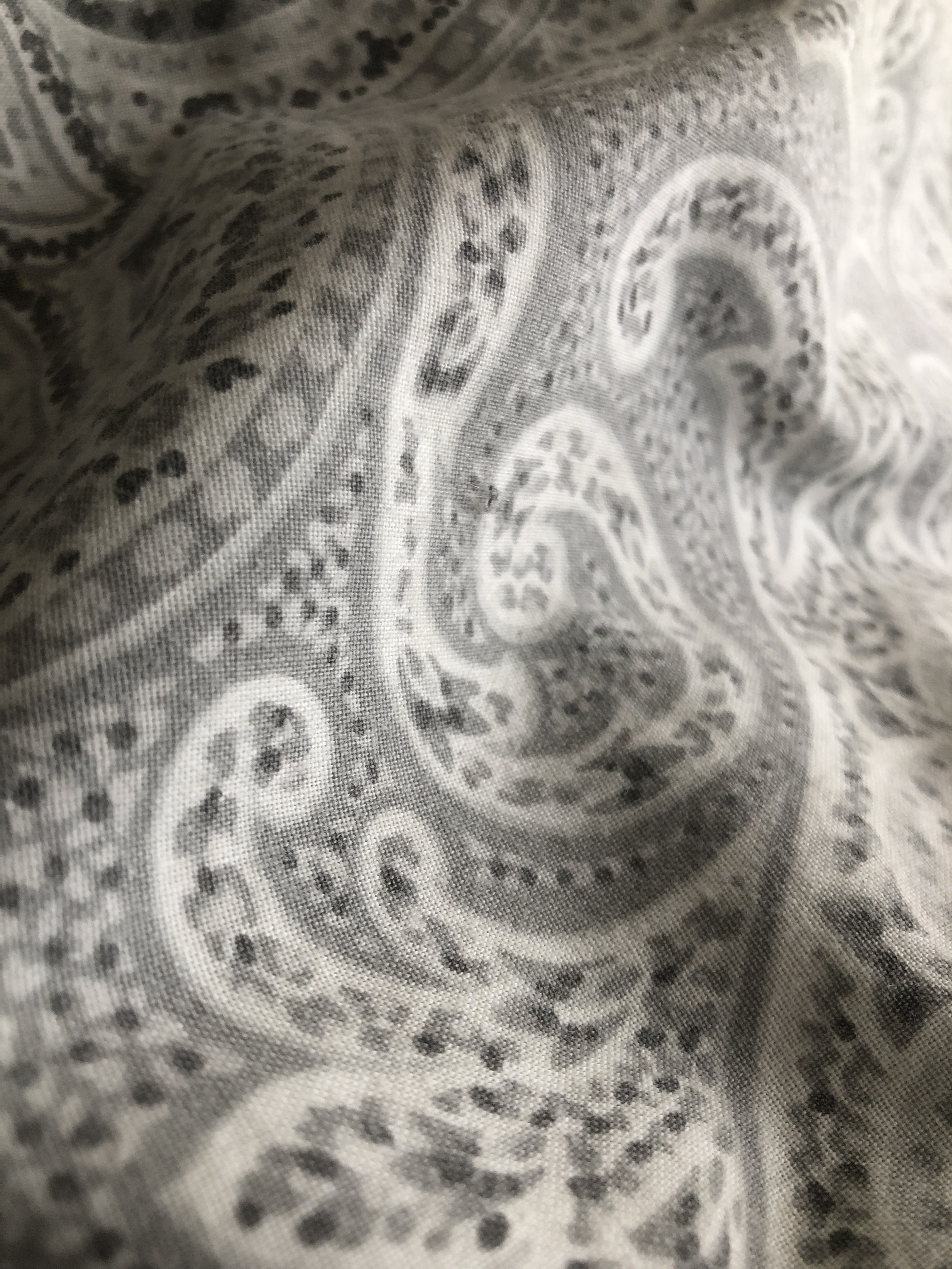 Cara OnlyFans header