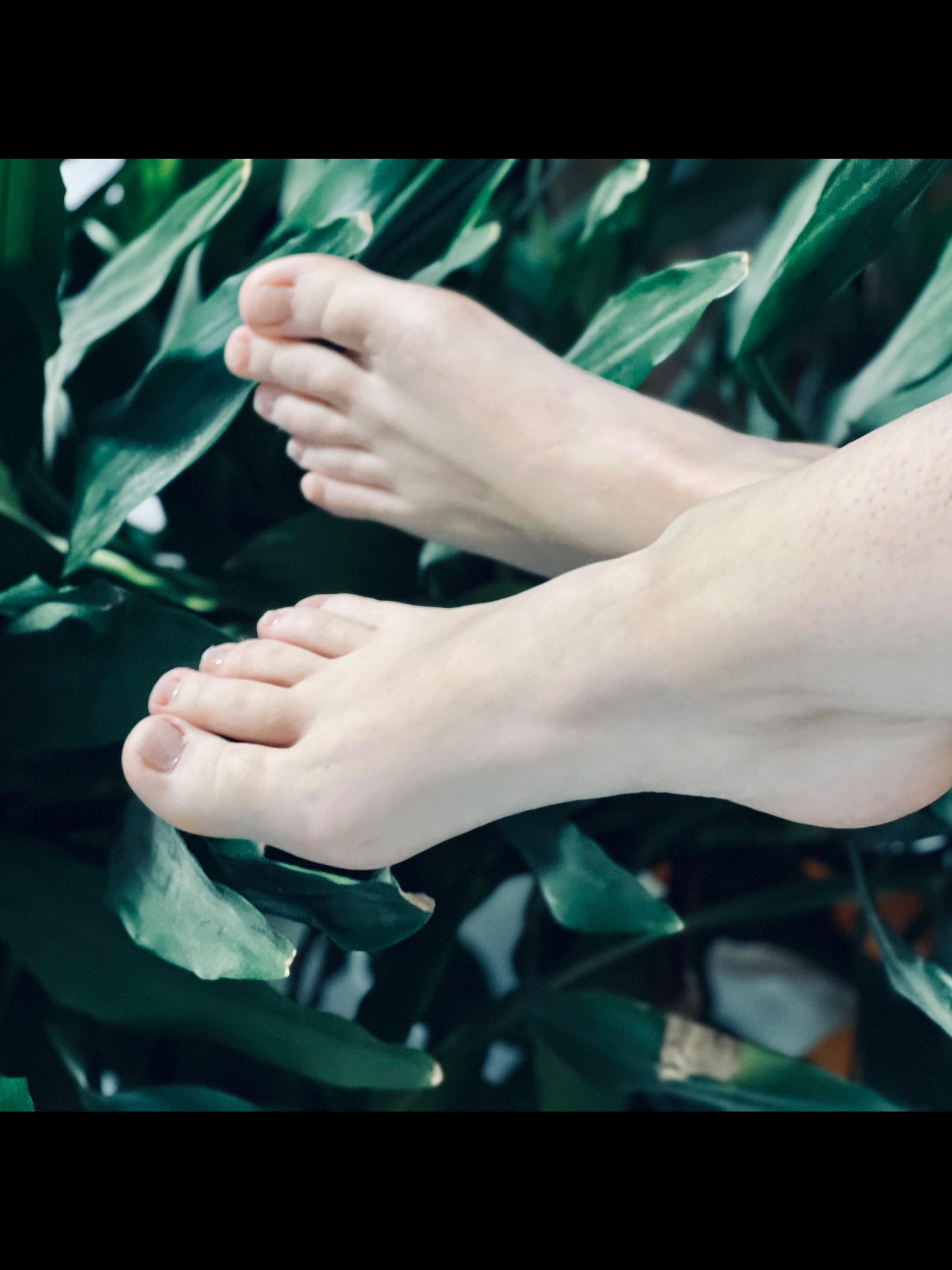 OnlyFeet OnlyFans header
