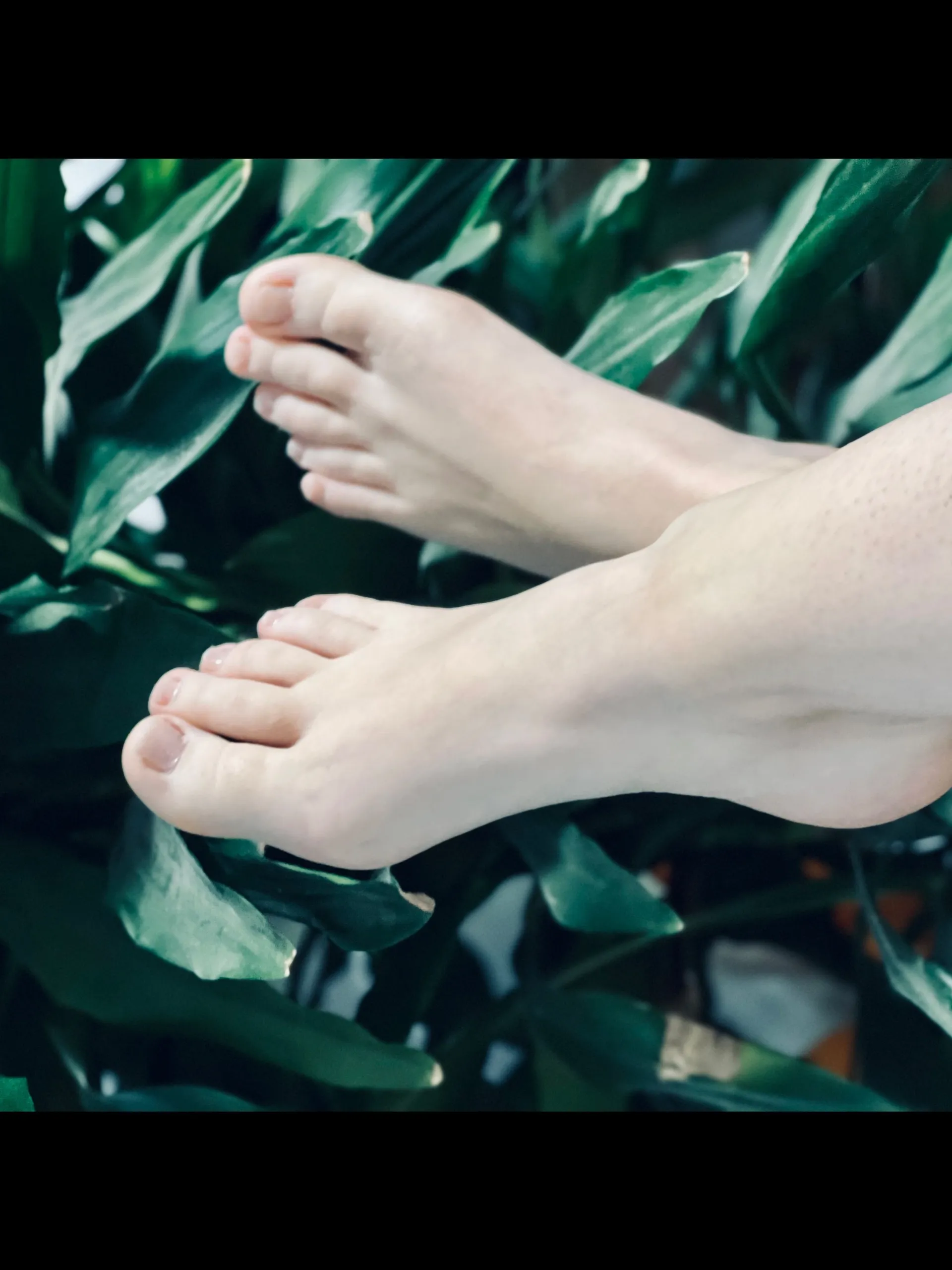 OnlyFeet OnlyFans header