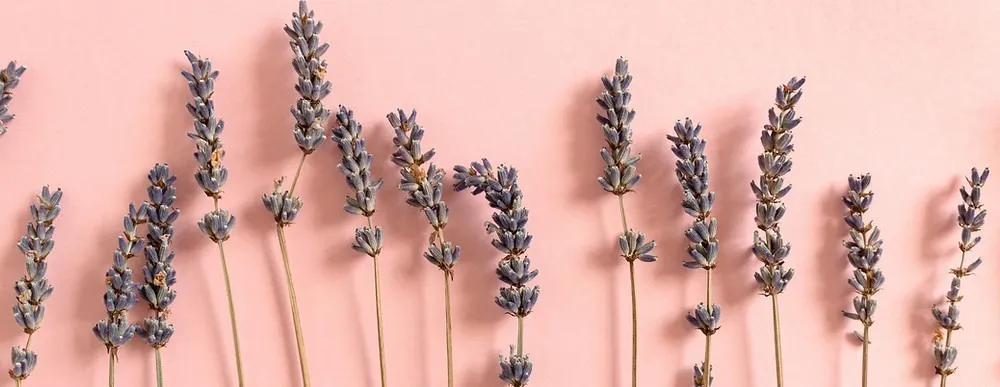 Heidi Heel OnlyFans header