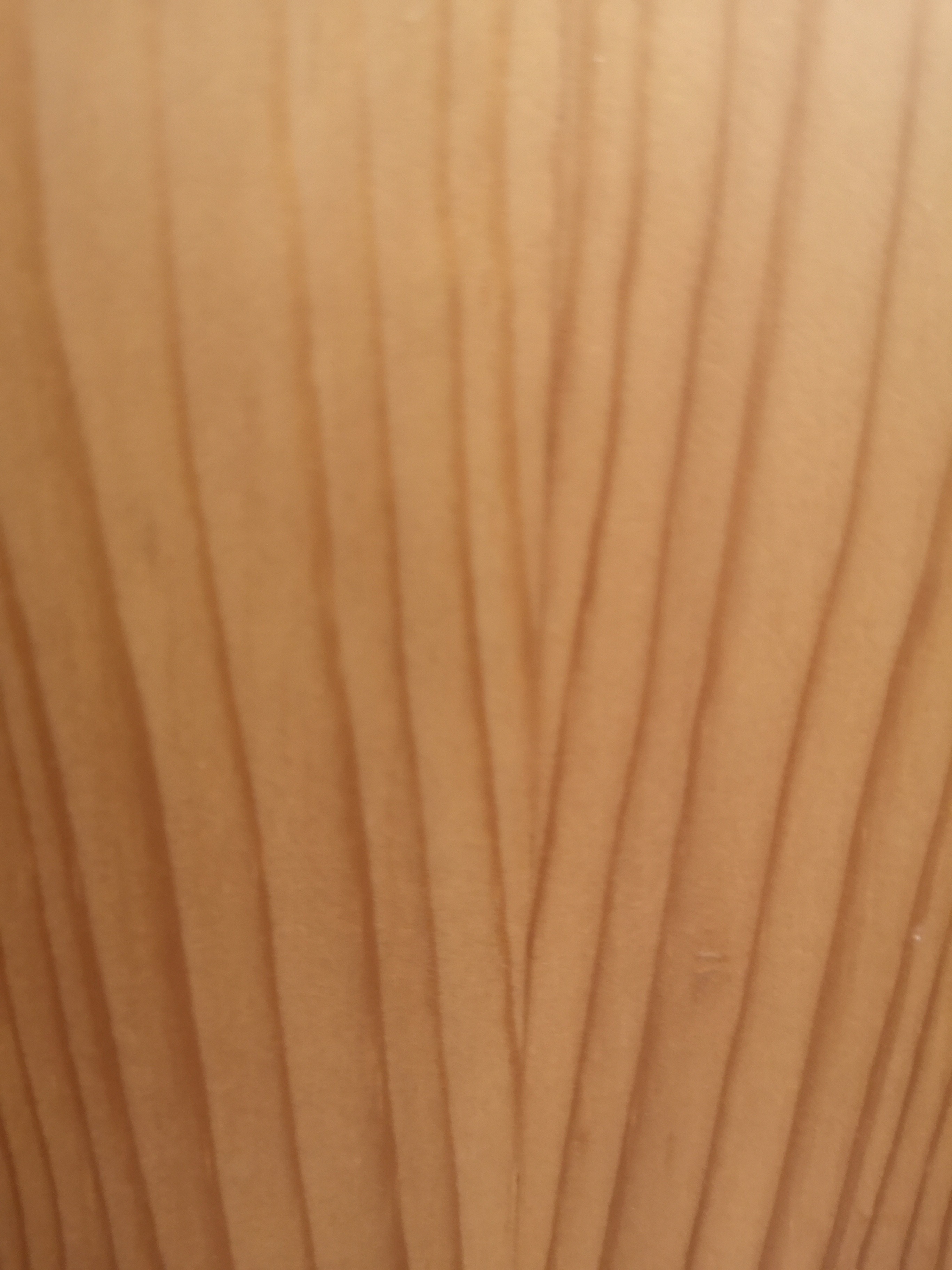 Footy OnlyFans header