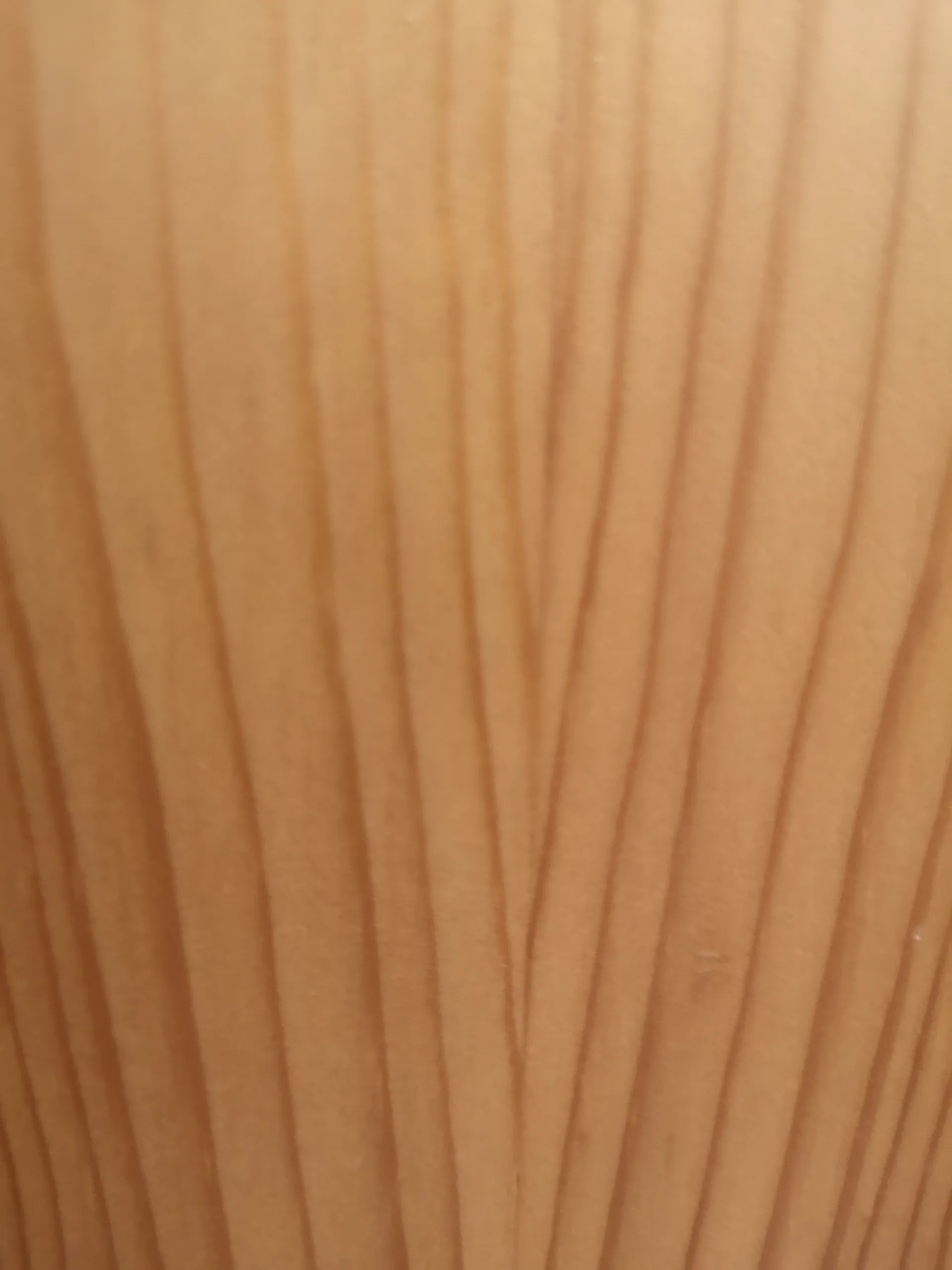 Footy OnlyFans header