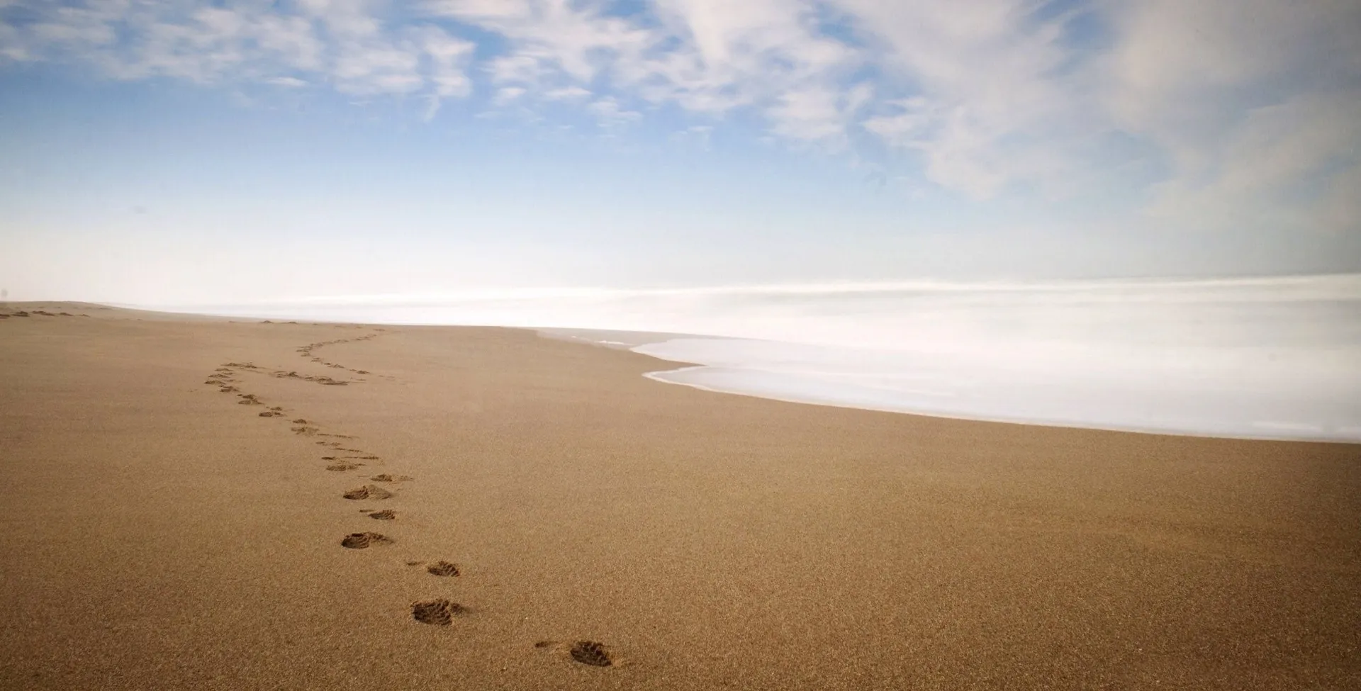 Foot Fapper OnlyFans header