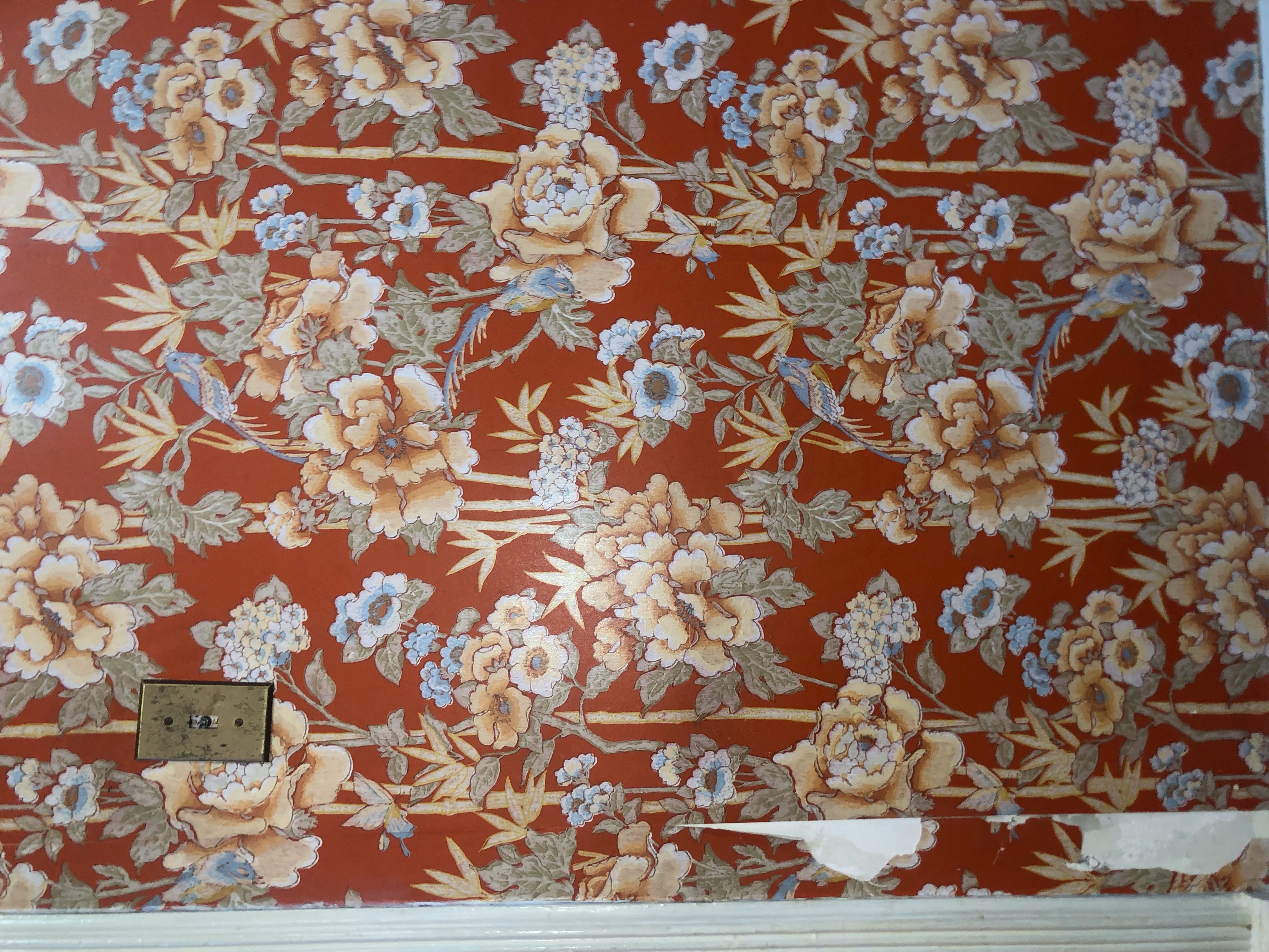 10toes OnlyFans header