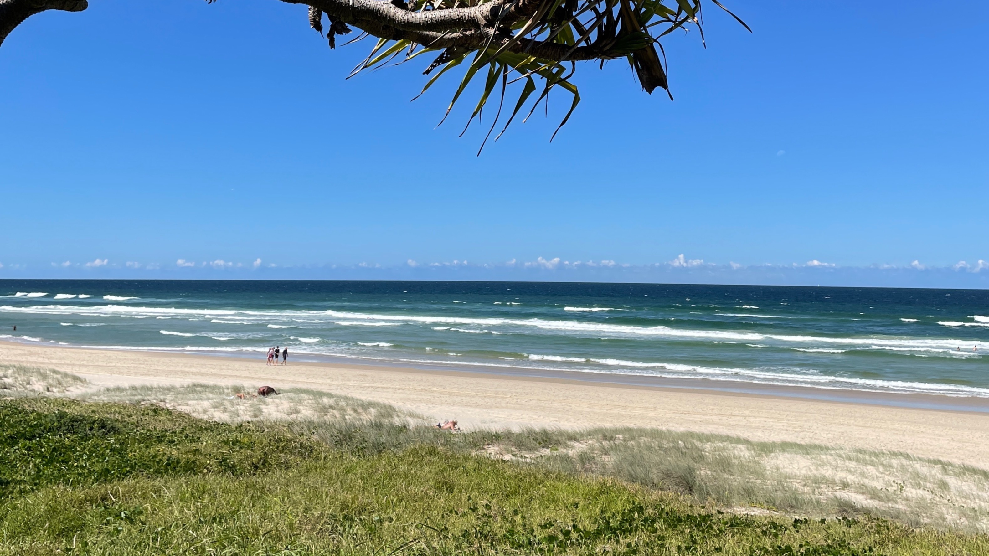 Ryan (Feet Pics) OnlyFans header