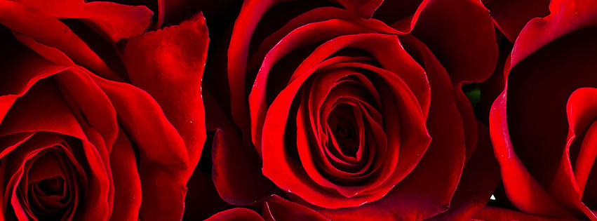 Fantaziah OnlyFans header