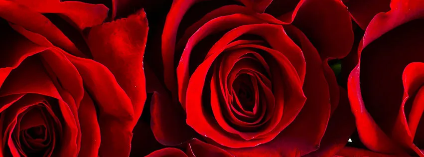 Fantaziah OnlyFans header