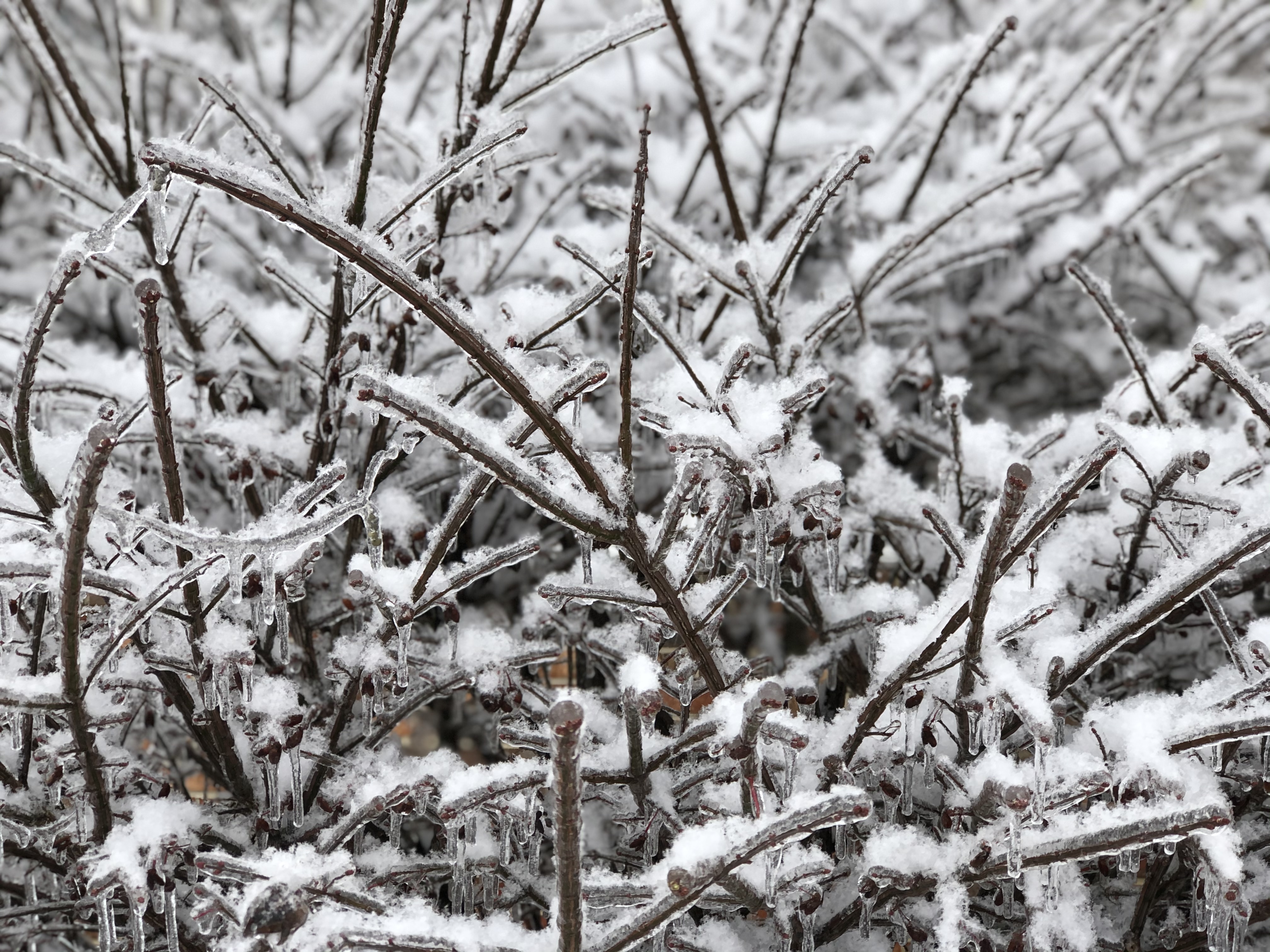 Tina OnlyFans header