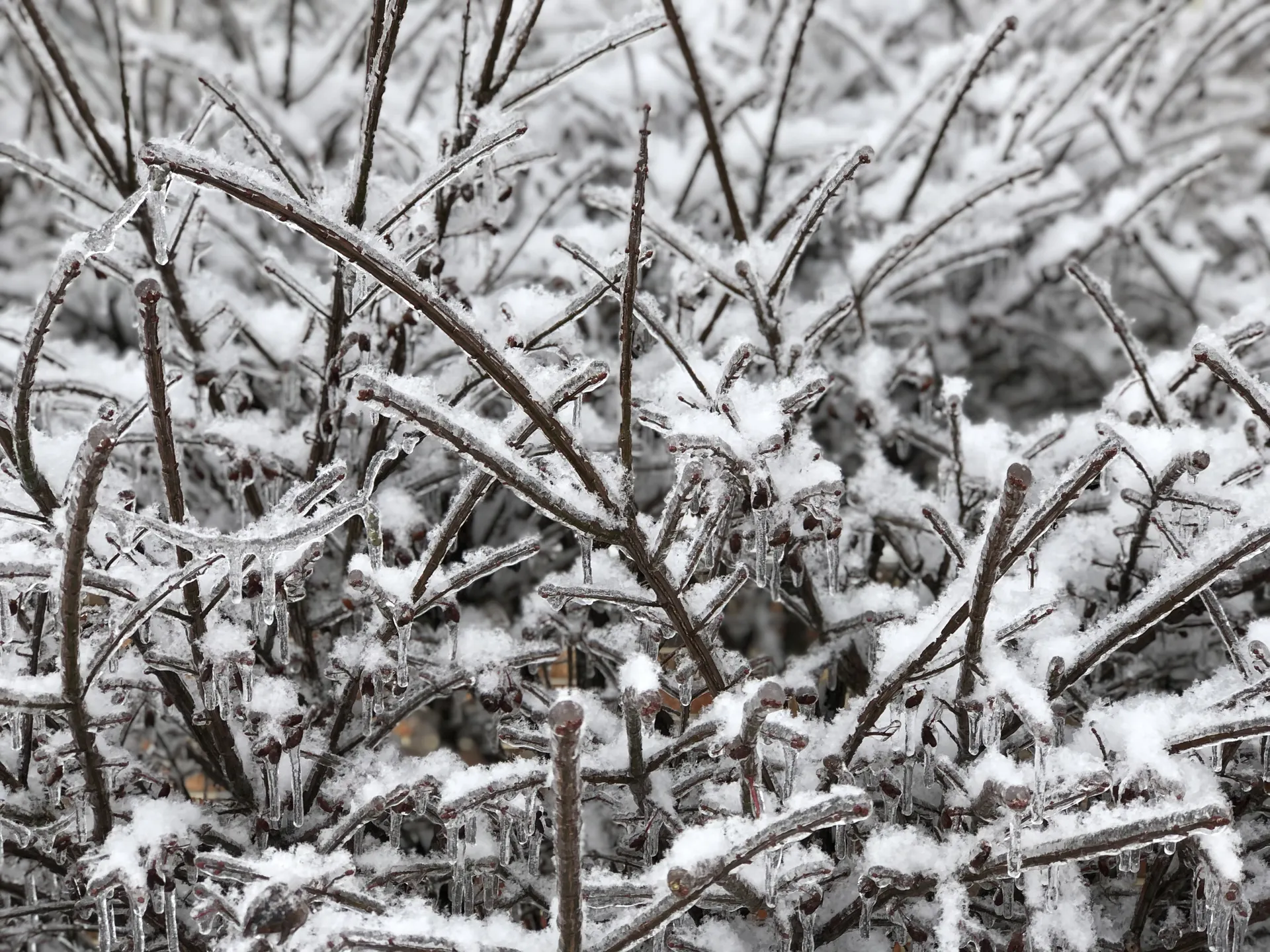 Tina OnlyFans header