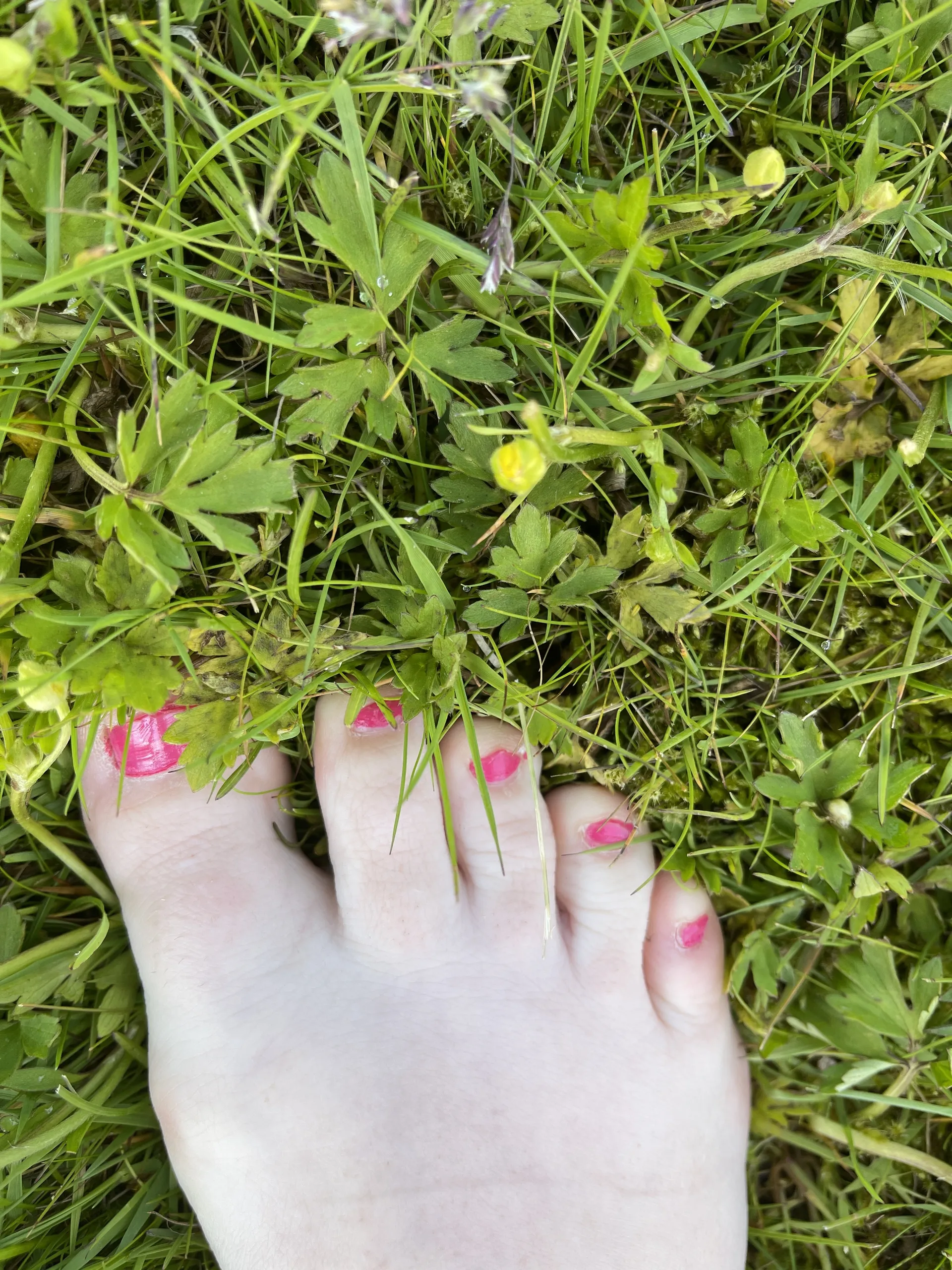 Maria Foot(d)fetish OnlyFans header