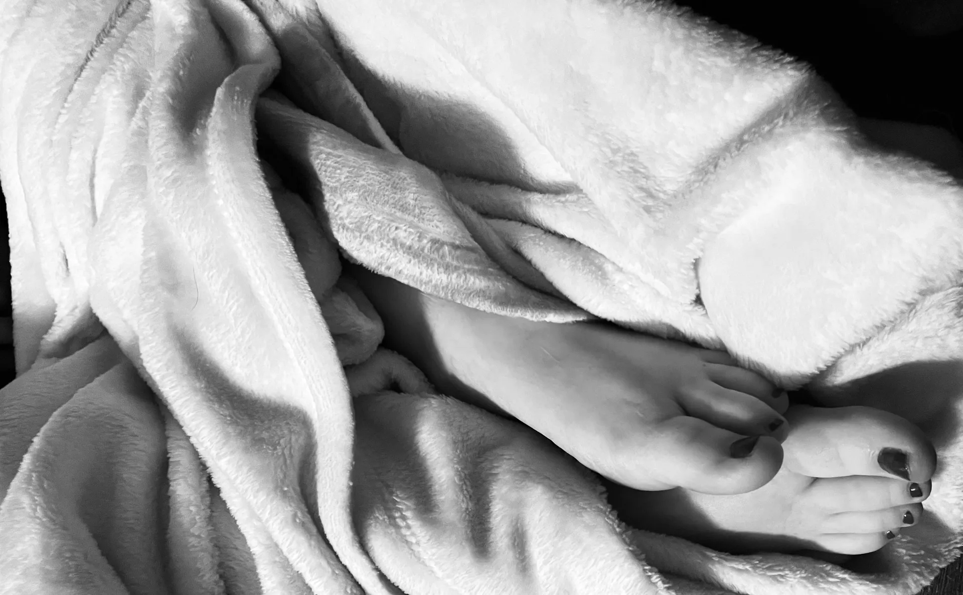 The Foot Fortress OnlyFans header