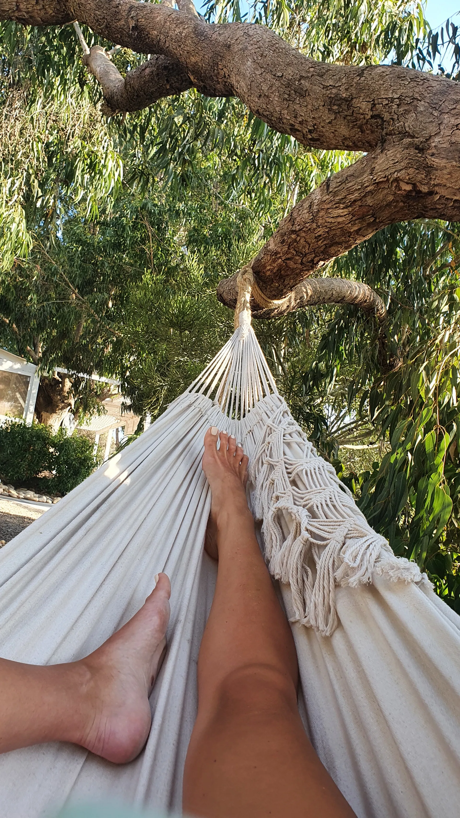 Foot Girl OnlyFans header