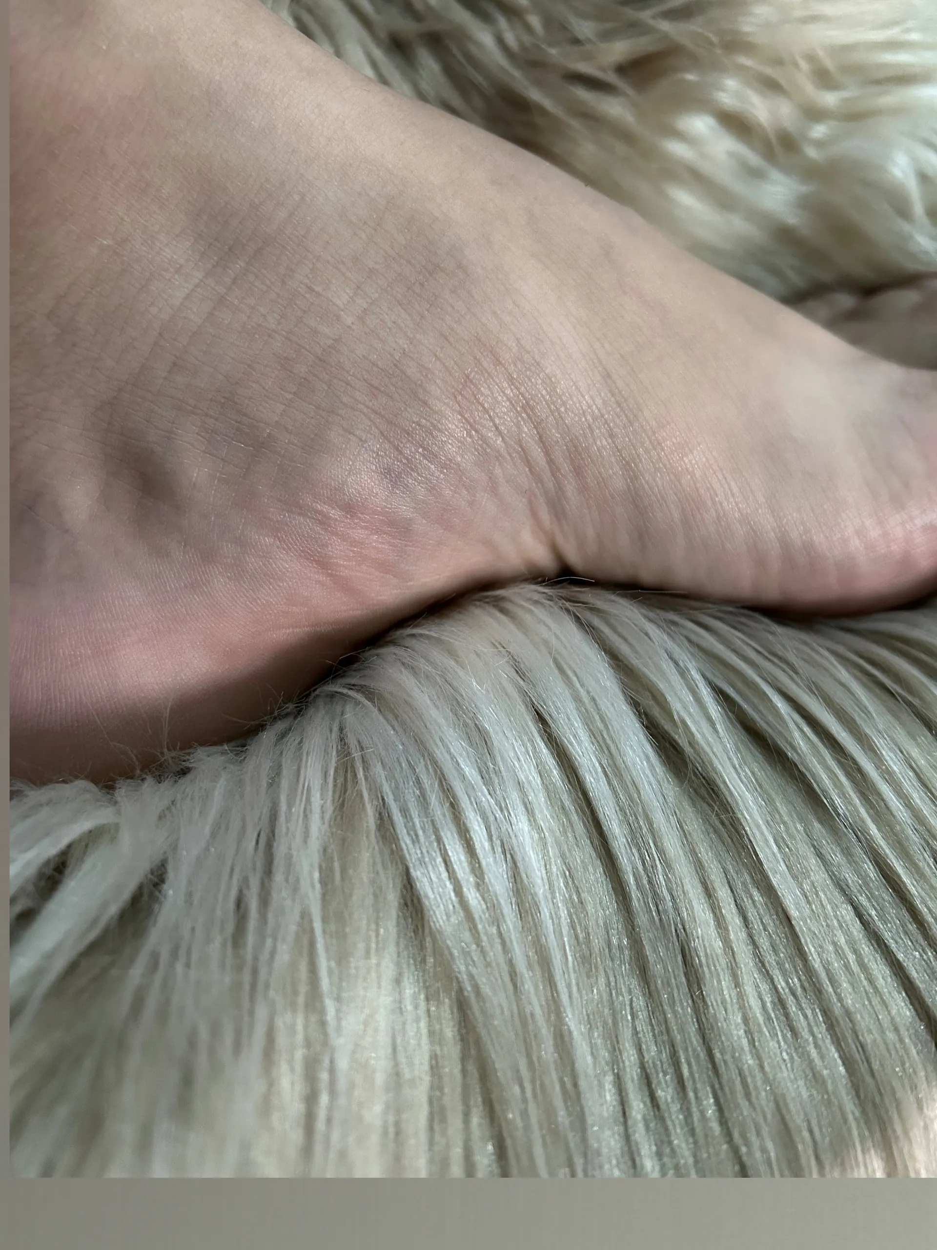 Latín Sole King cover
