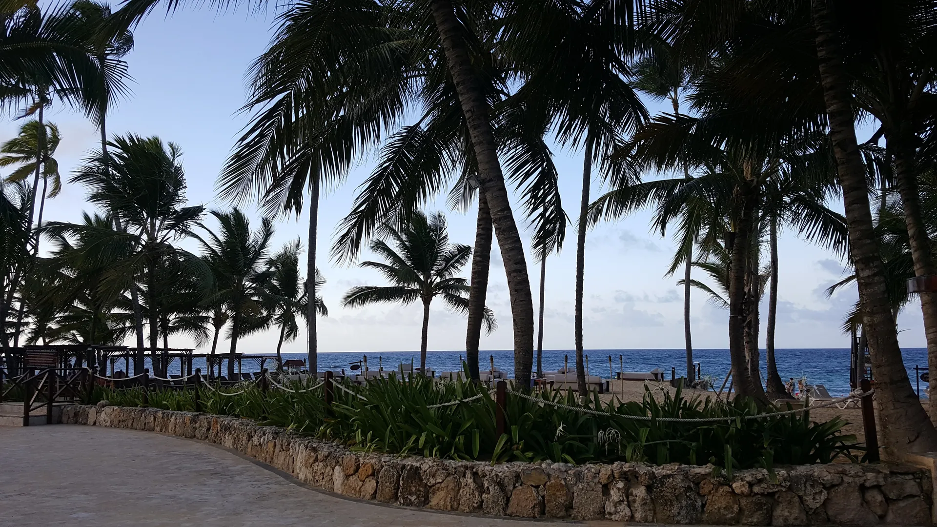 Veronica OnlyFans header