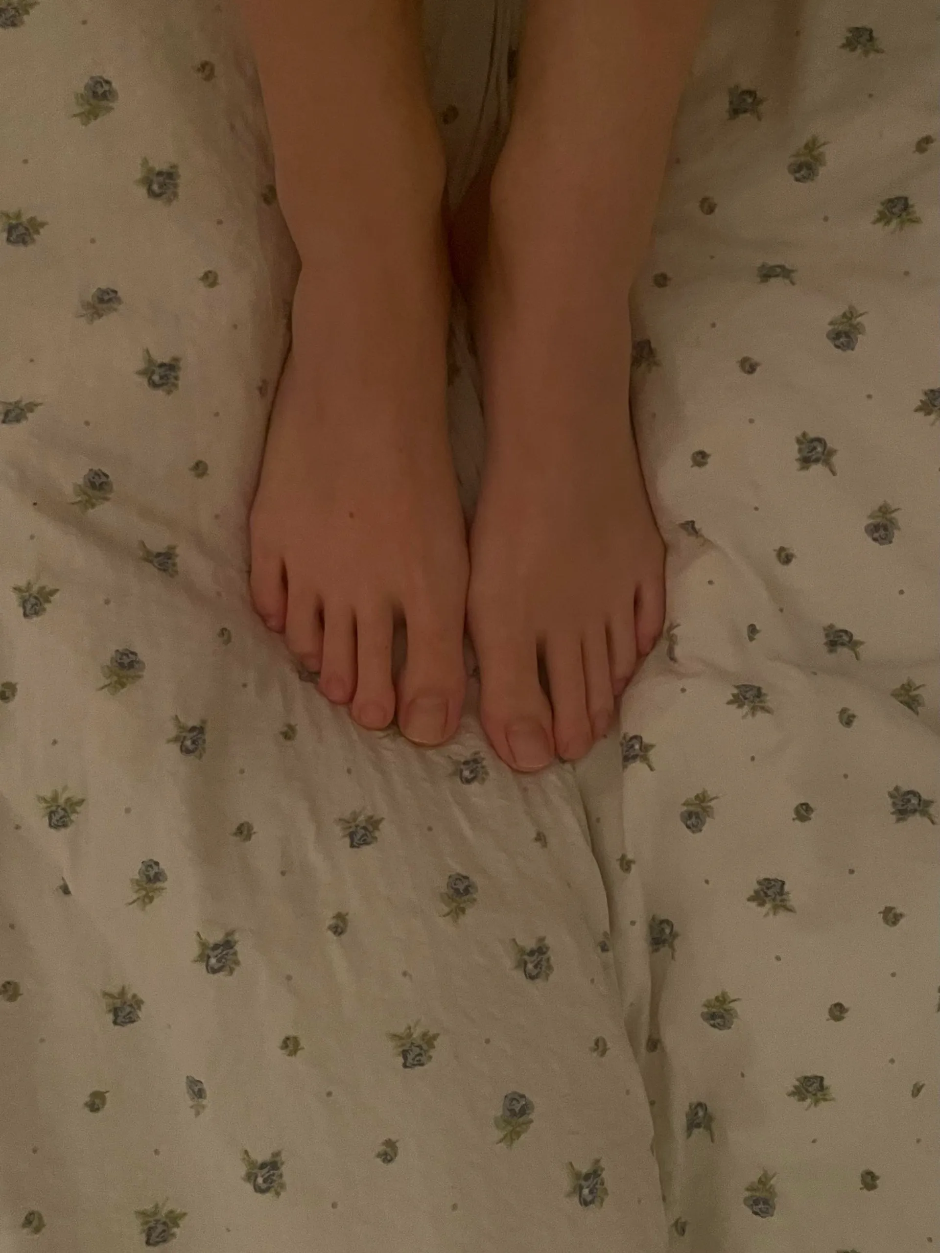 footloose OnlyFans header