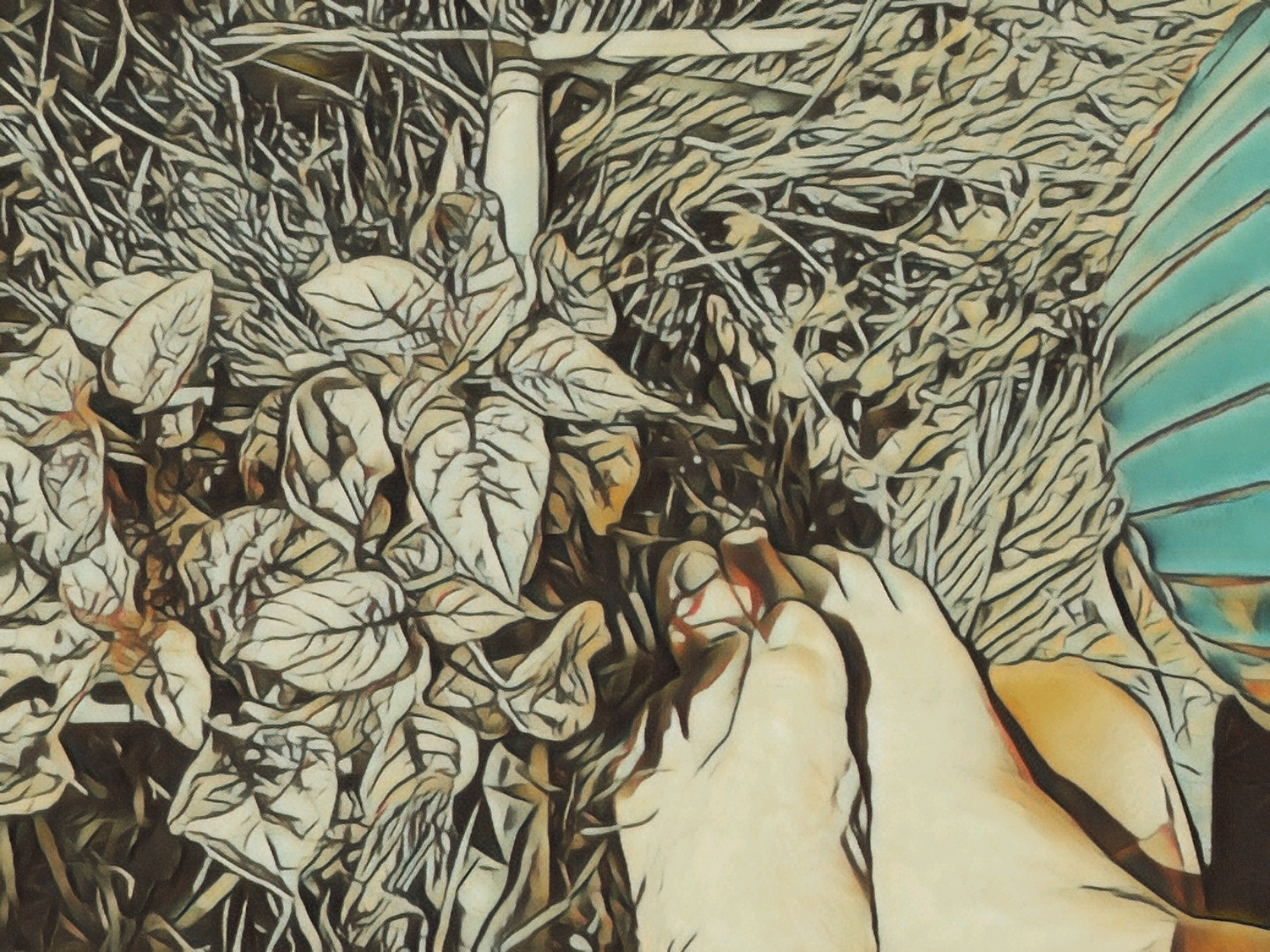 Footloose OnlyFans header