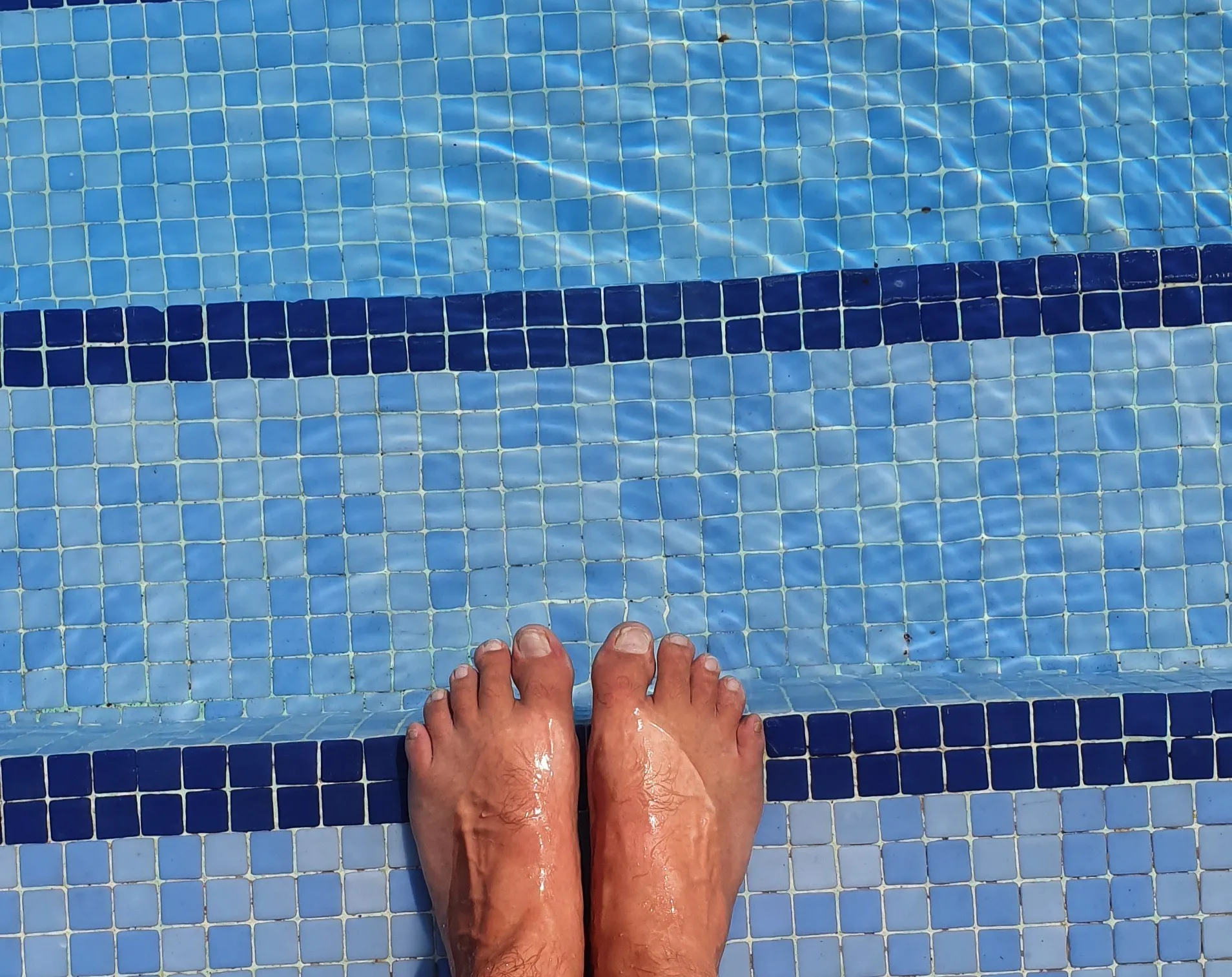 Foot Lovers Dream World 🌎 ✨️ 👣👣👣 OnlyFans header