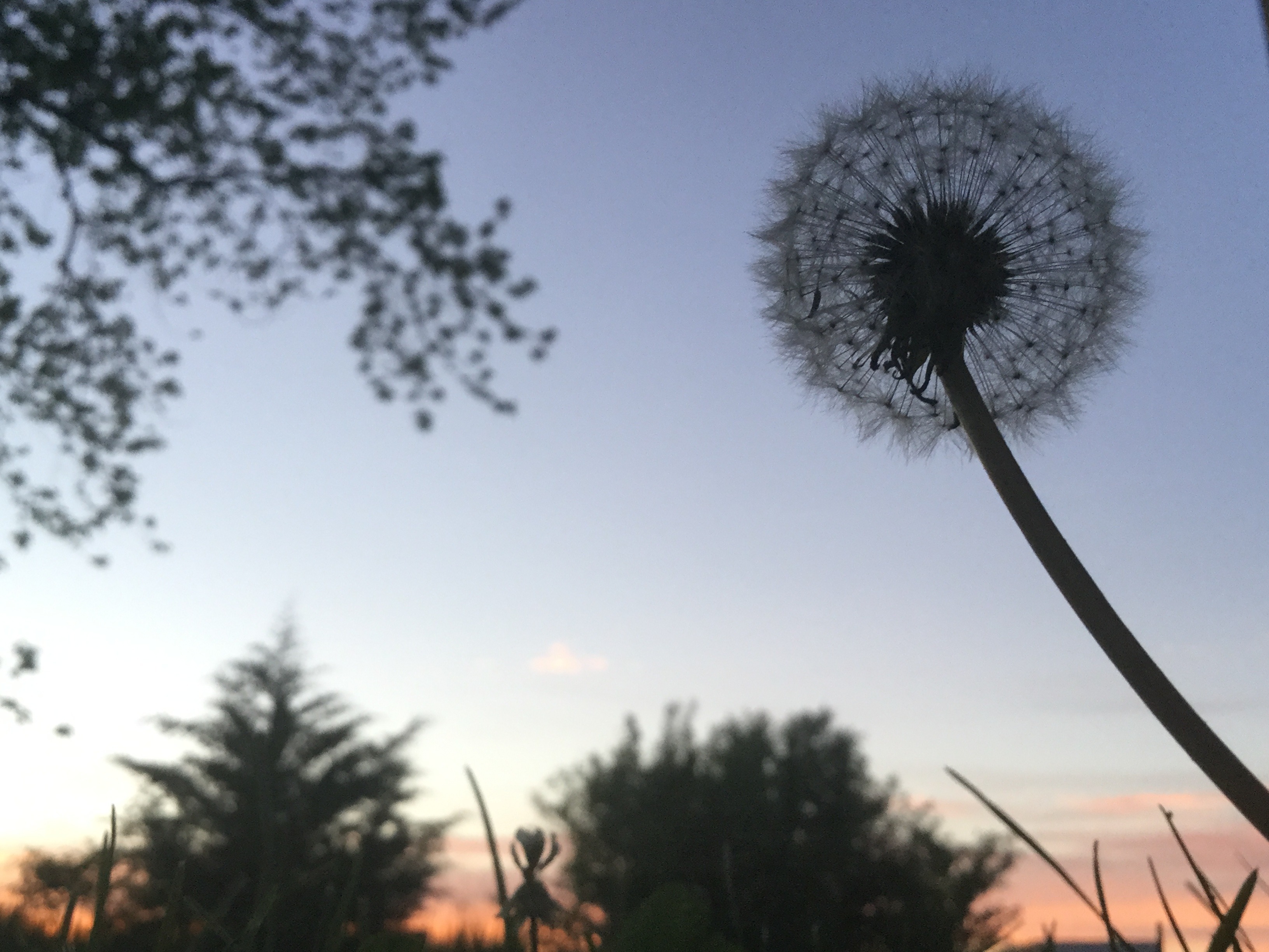 Kaylee OnlyFans header