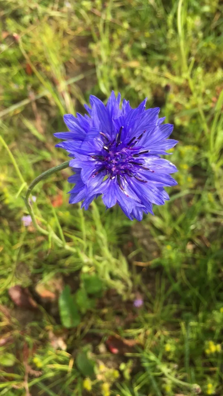 Foot on Mars OnlyFans header