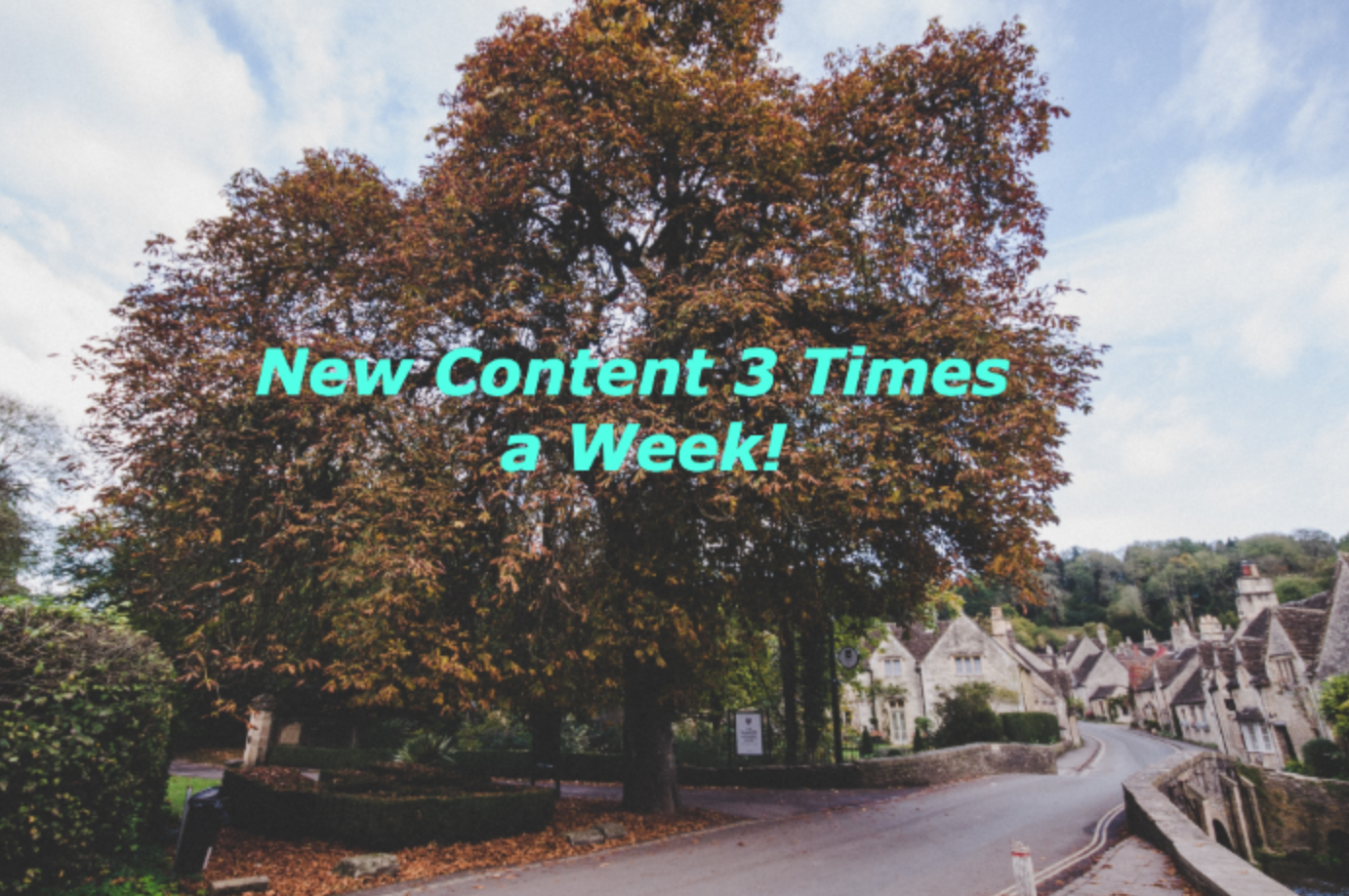 Sasha ✨ OnlyFans header