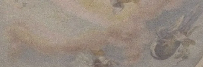 princess OnlyFans header