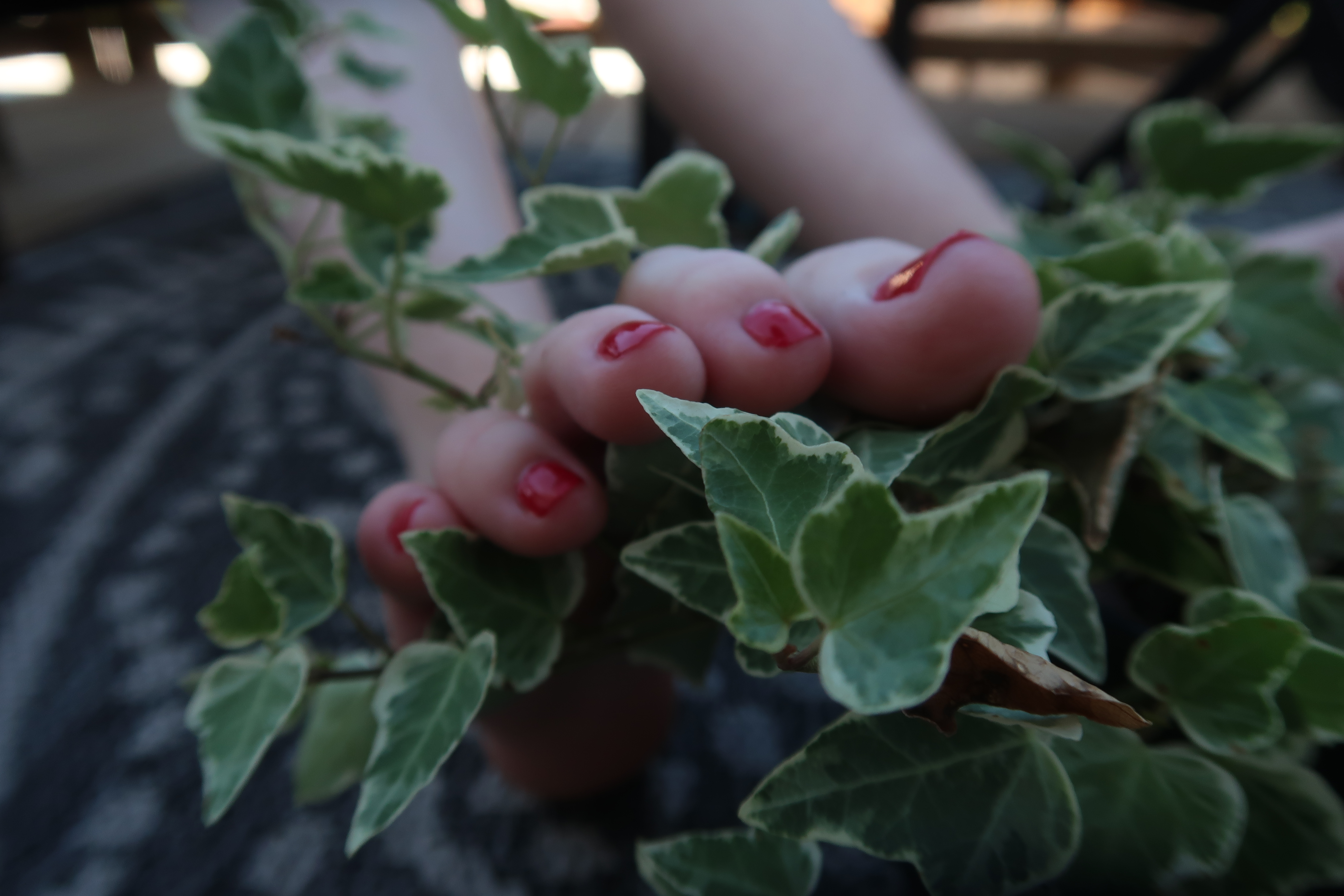 Foot Envy OnlyFans header