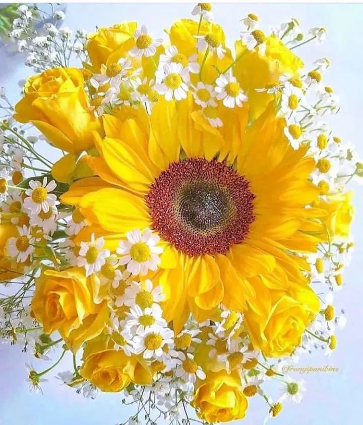 Marina fallon OnlyFans header