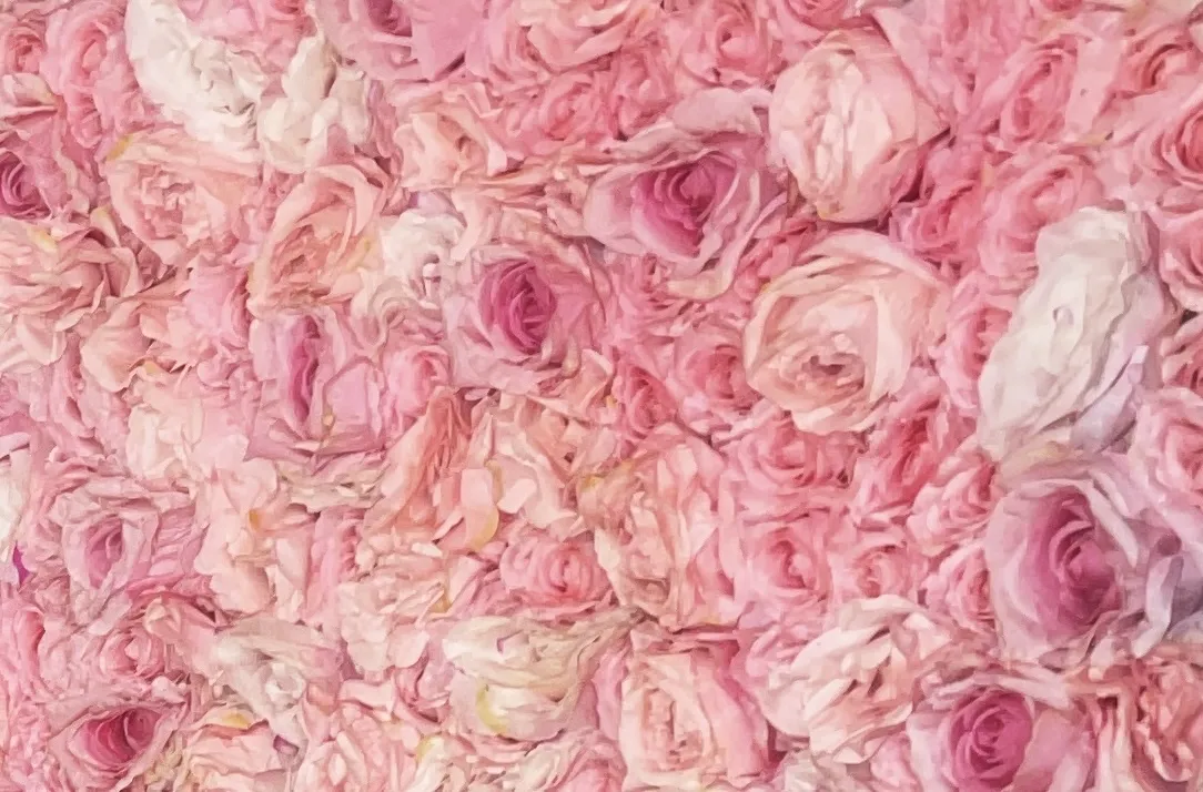 Amanda Gonzalez OnlyFans header