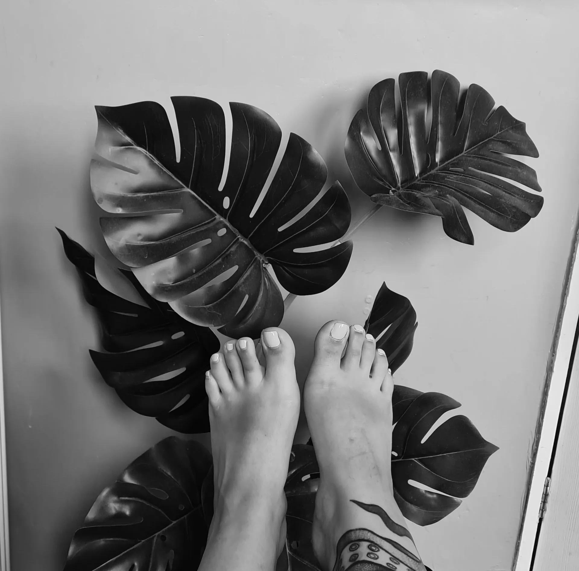 Footsie Vixen OnlyFans header