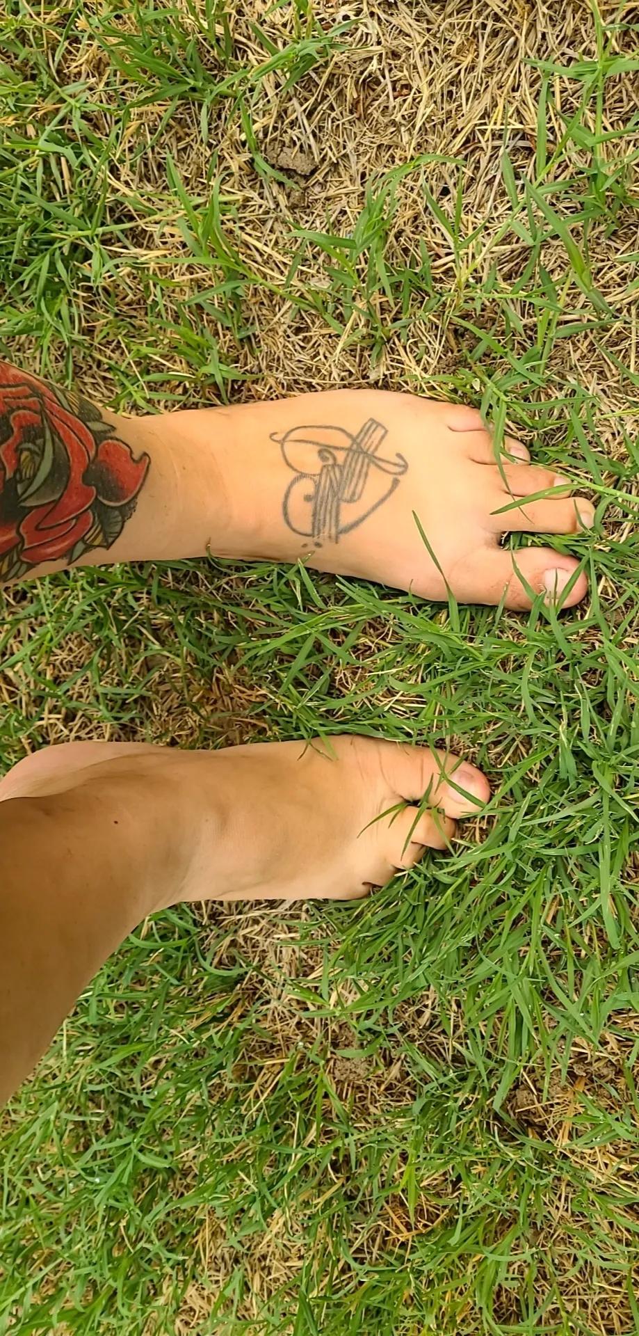 Ani Castle OnlyFans header