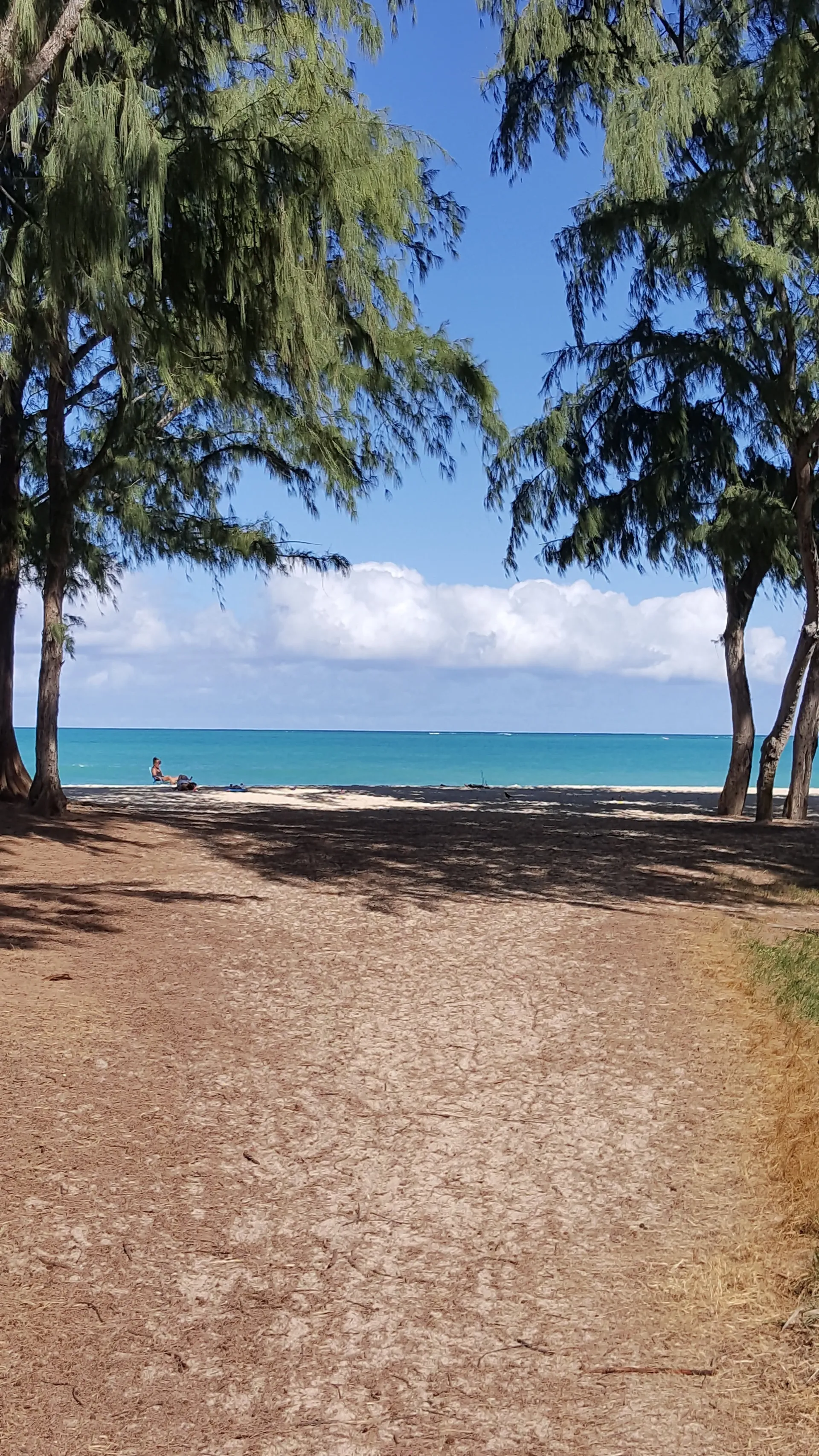 INGRID HISATAKE OnlyFans header