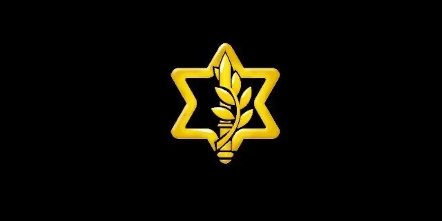All founding goes to idf