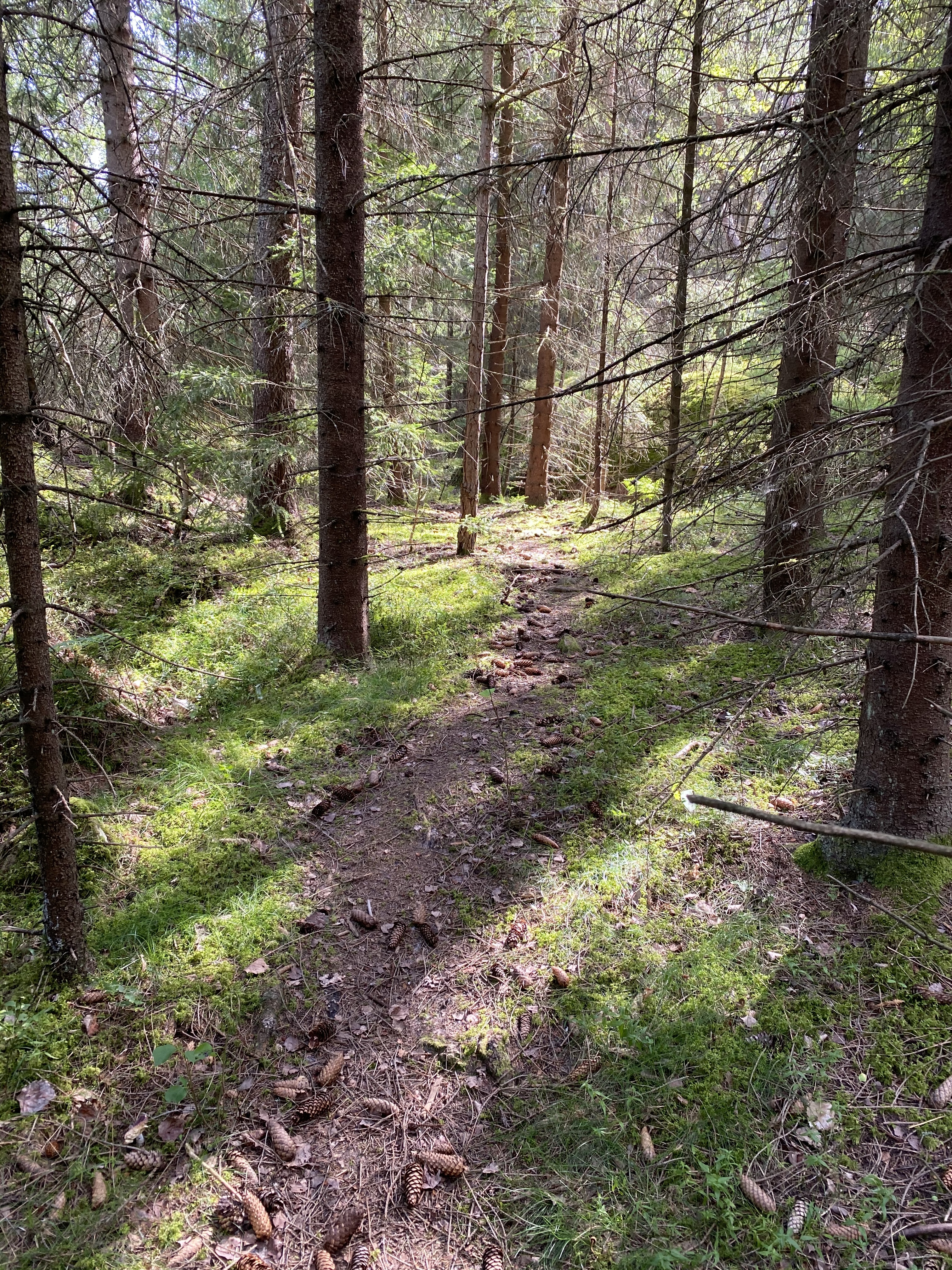 MaryKay OnlyFans header