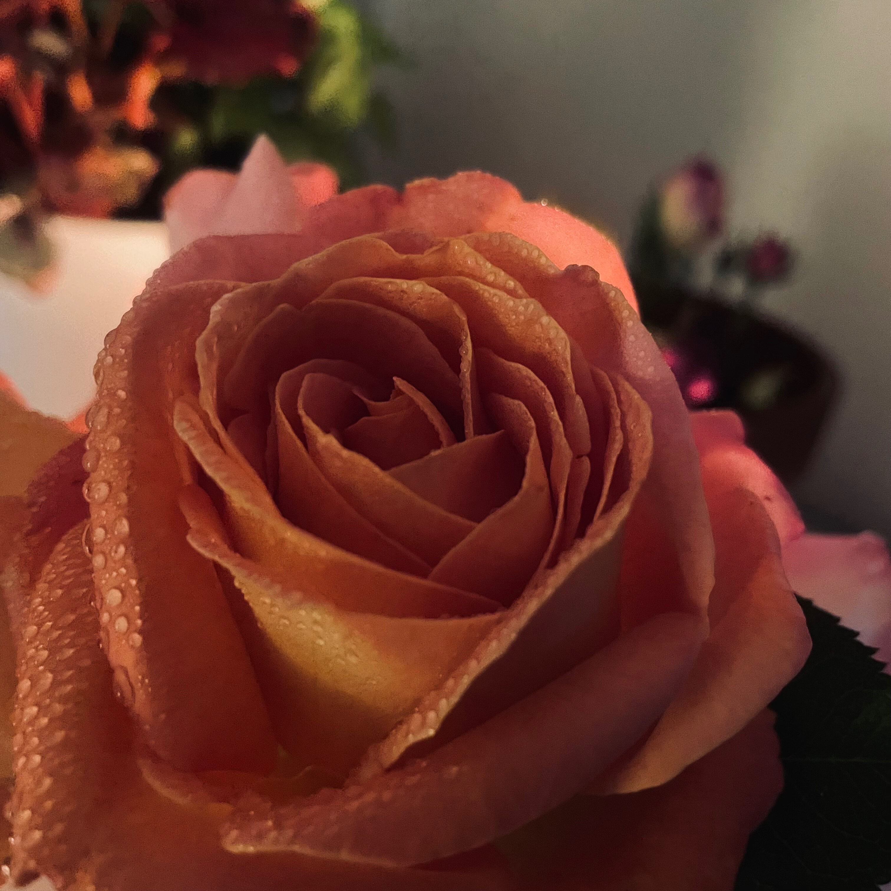 ~Your Forbidden Sweetheart~ OnlyFans header