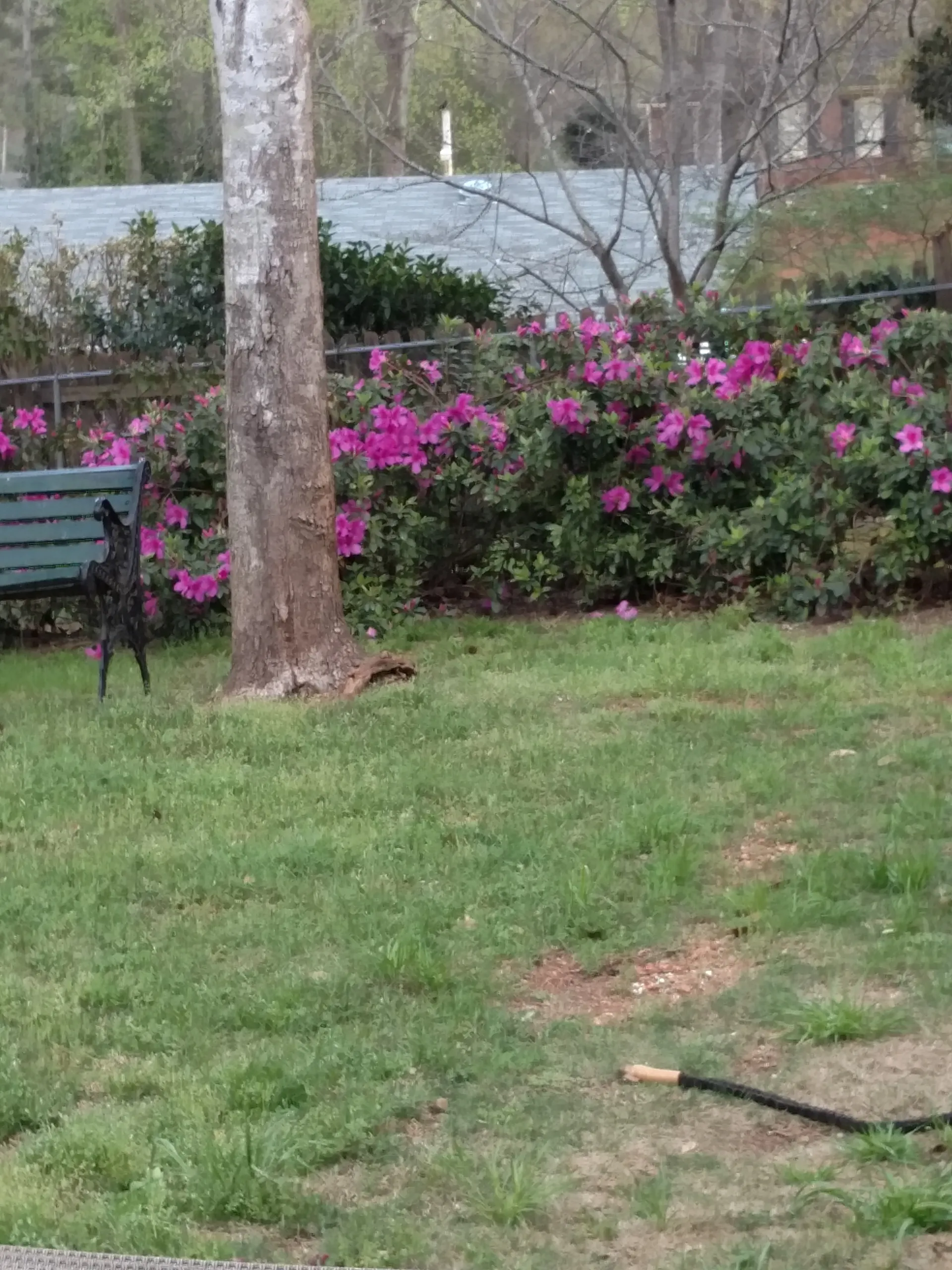 forbiddendark OnlyFans header