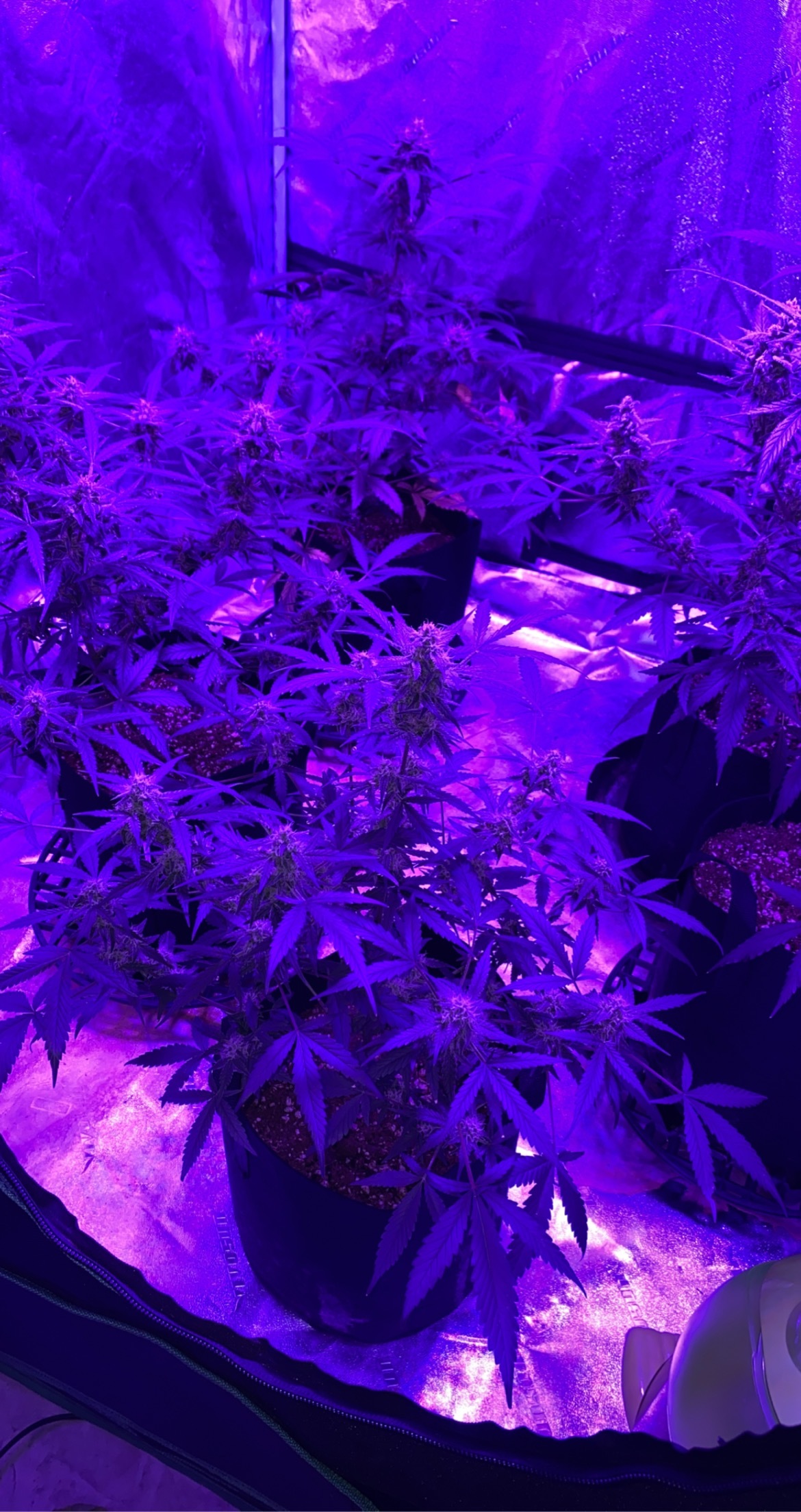 The Key OnlyFans header