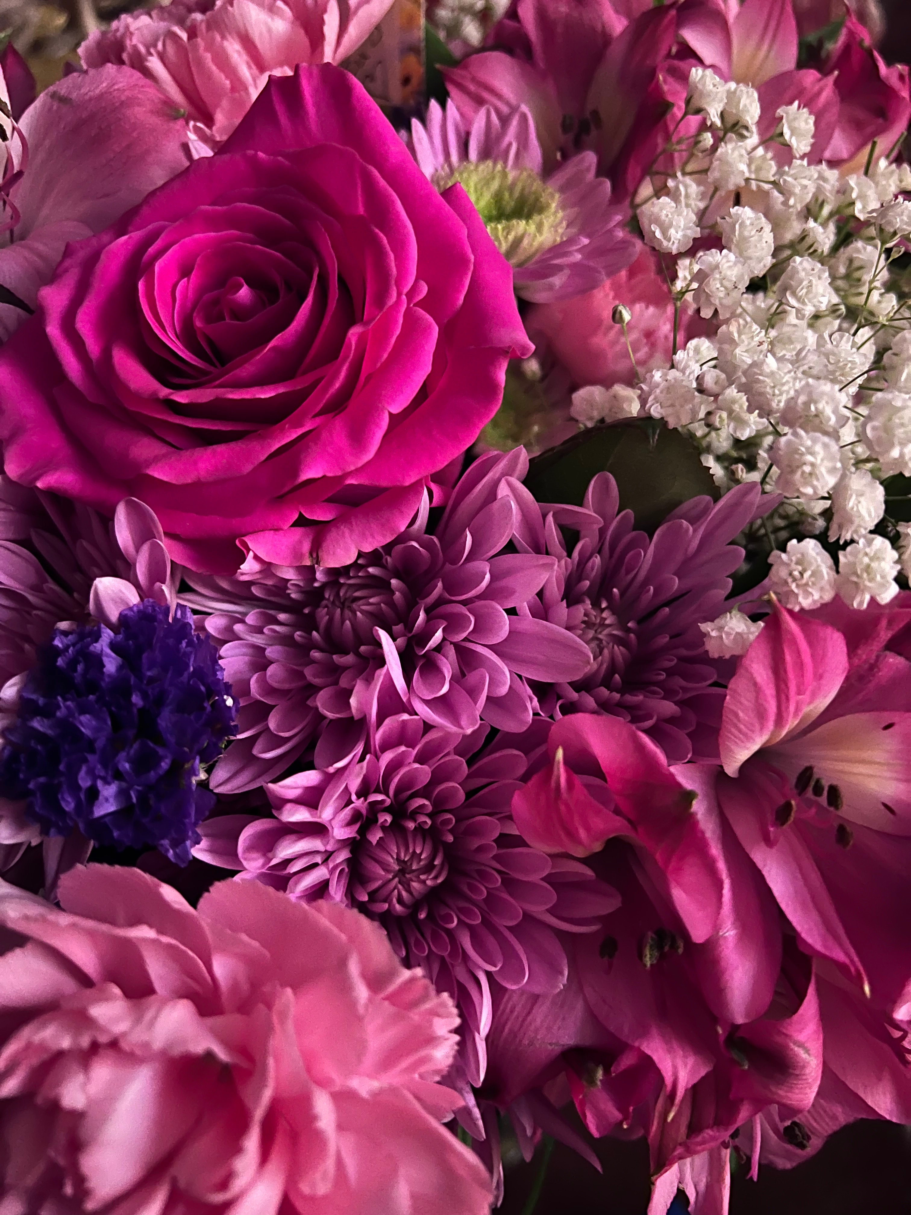 Rosie OnlyFans header