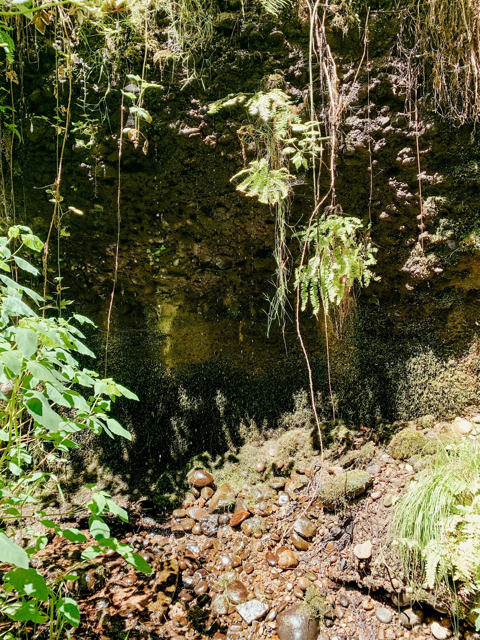 Miranda OnlyFans header