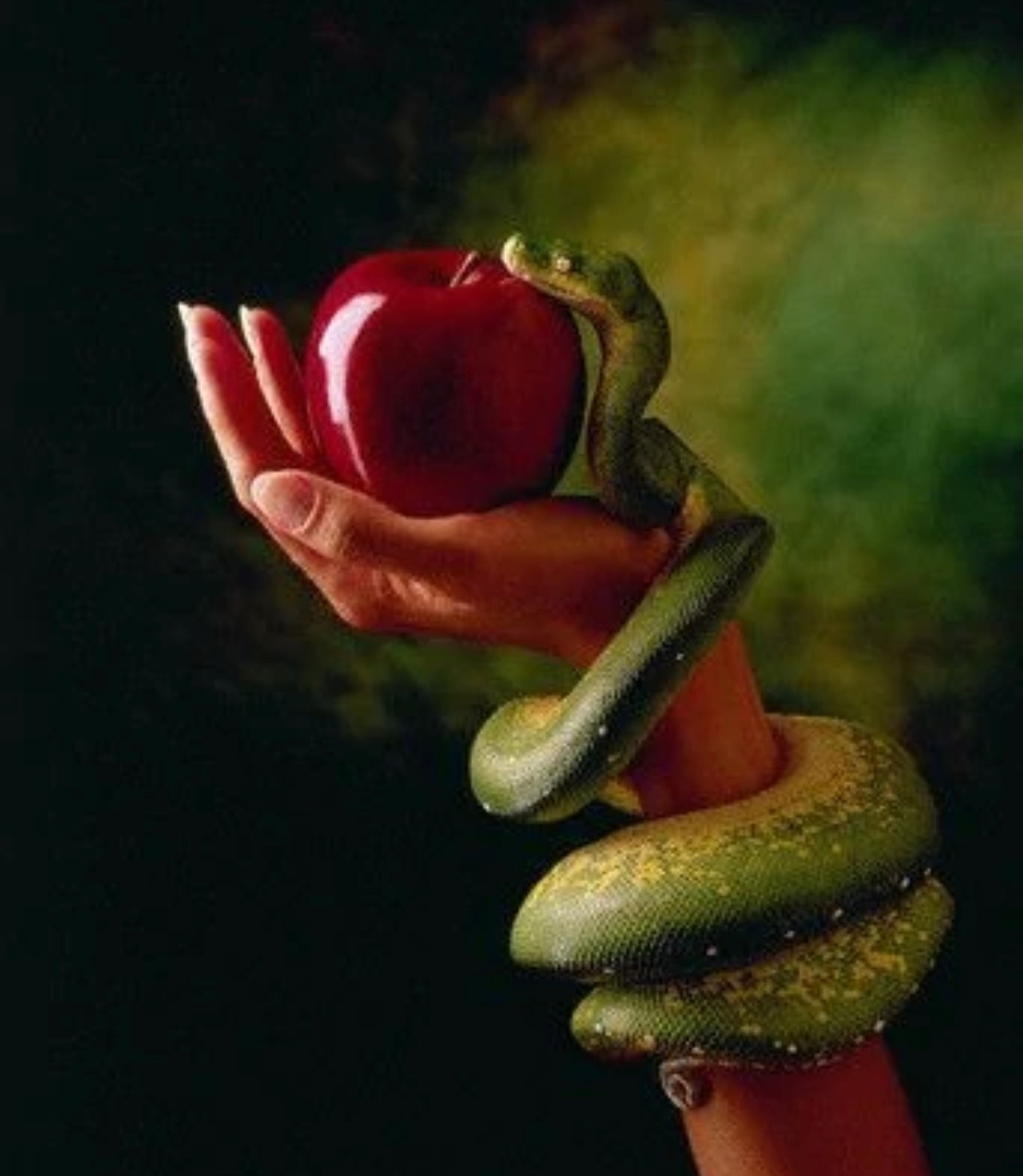 Forbiddenxx OnlyFans header