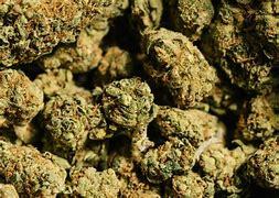 Gregory OnlyFans header