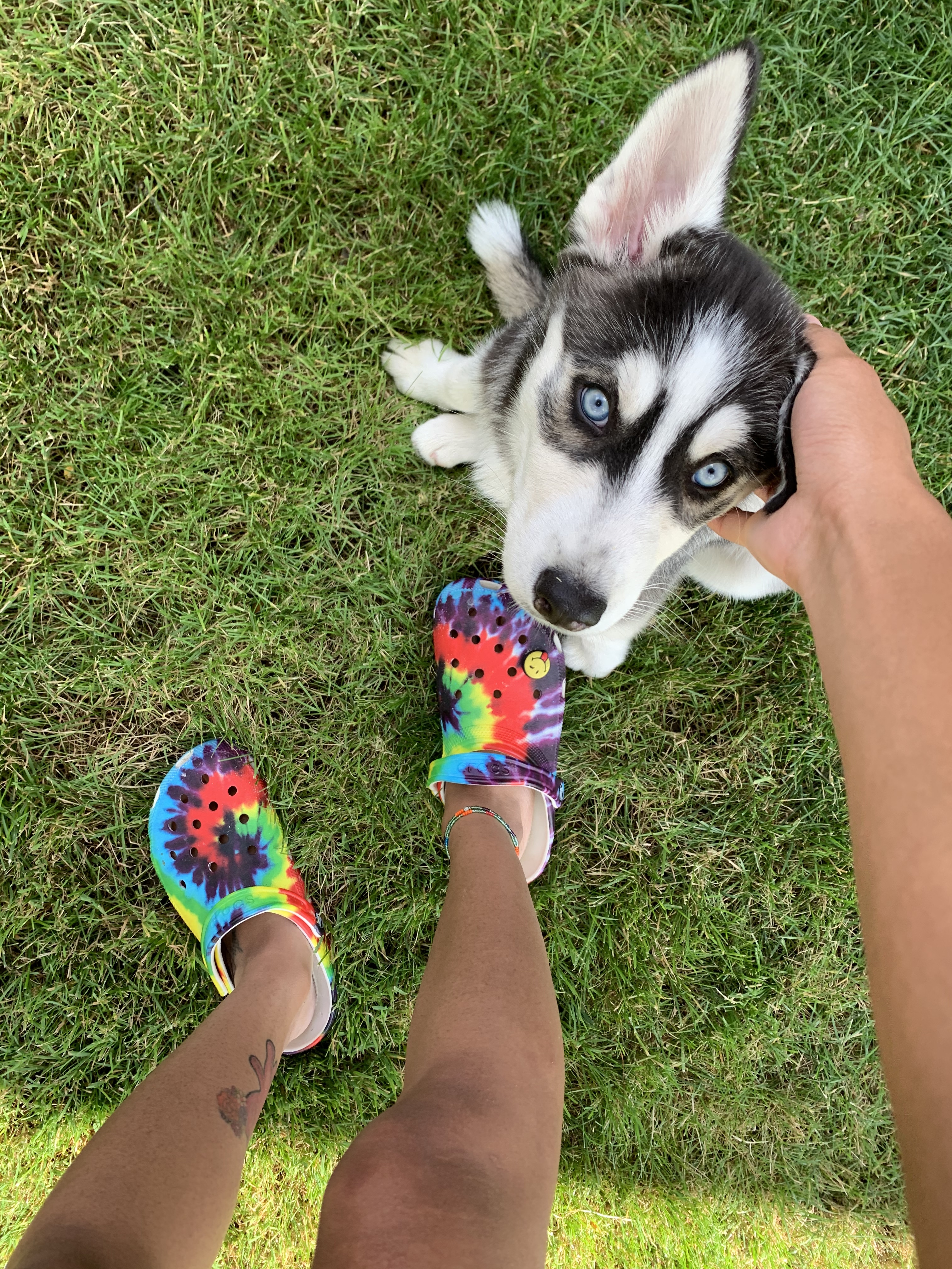 SolelyFeet OnlyFans header