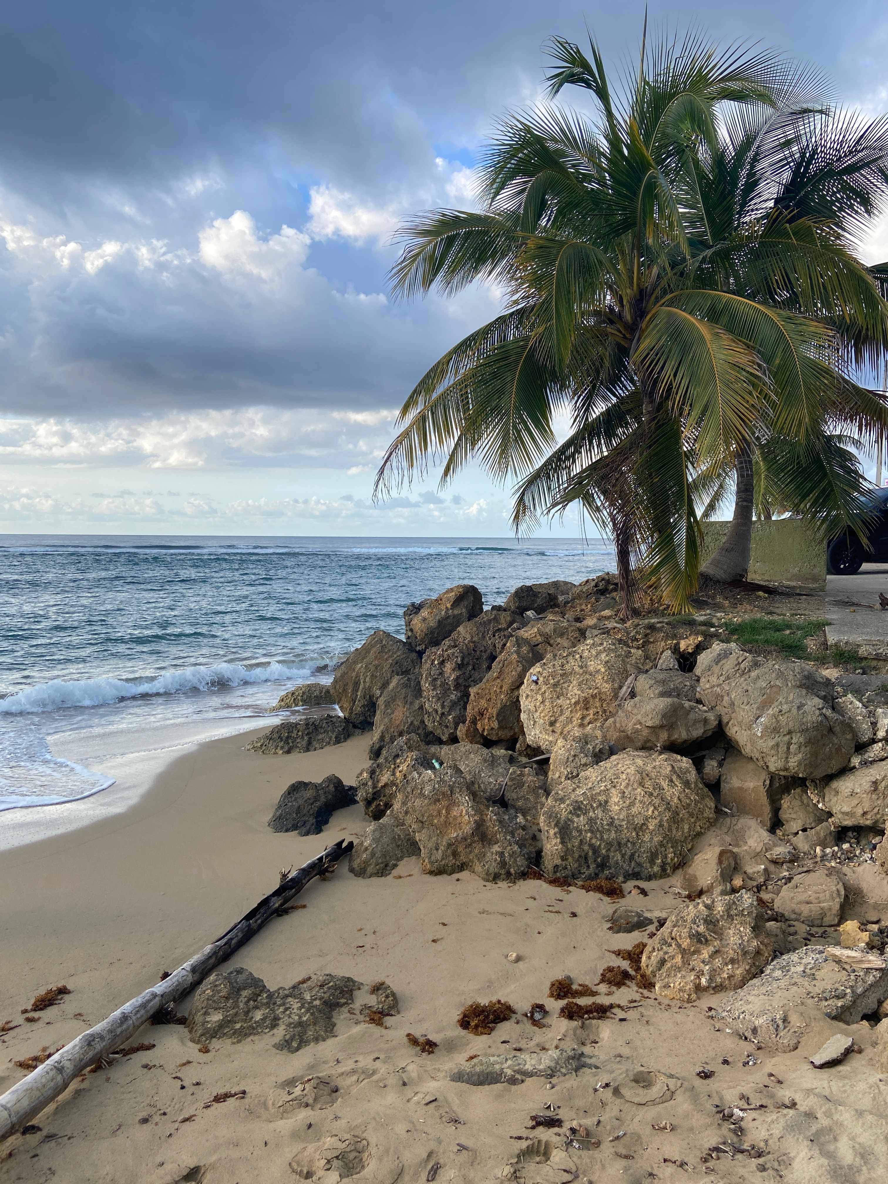 Foreignbratt OnlyFans header