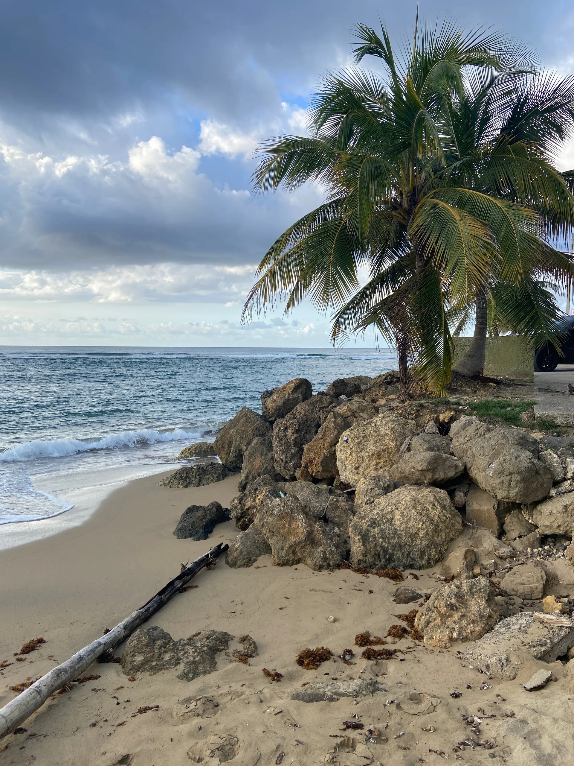 Foreignbratt OnlyFans header