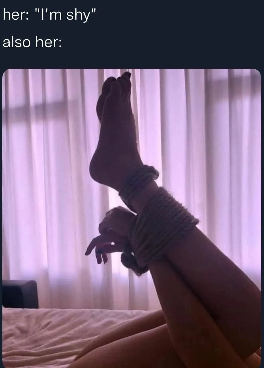 Sel Collectz OnlyFans header