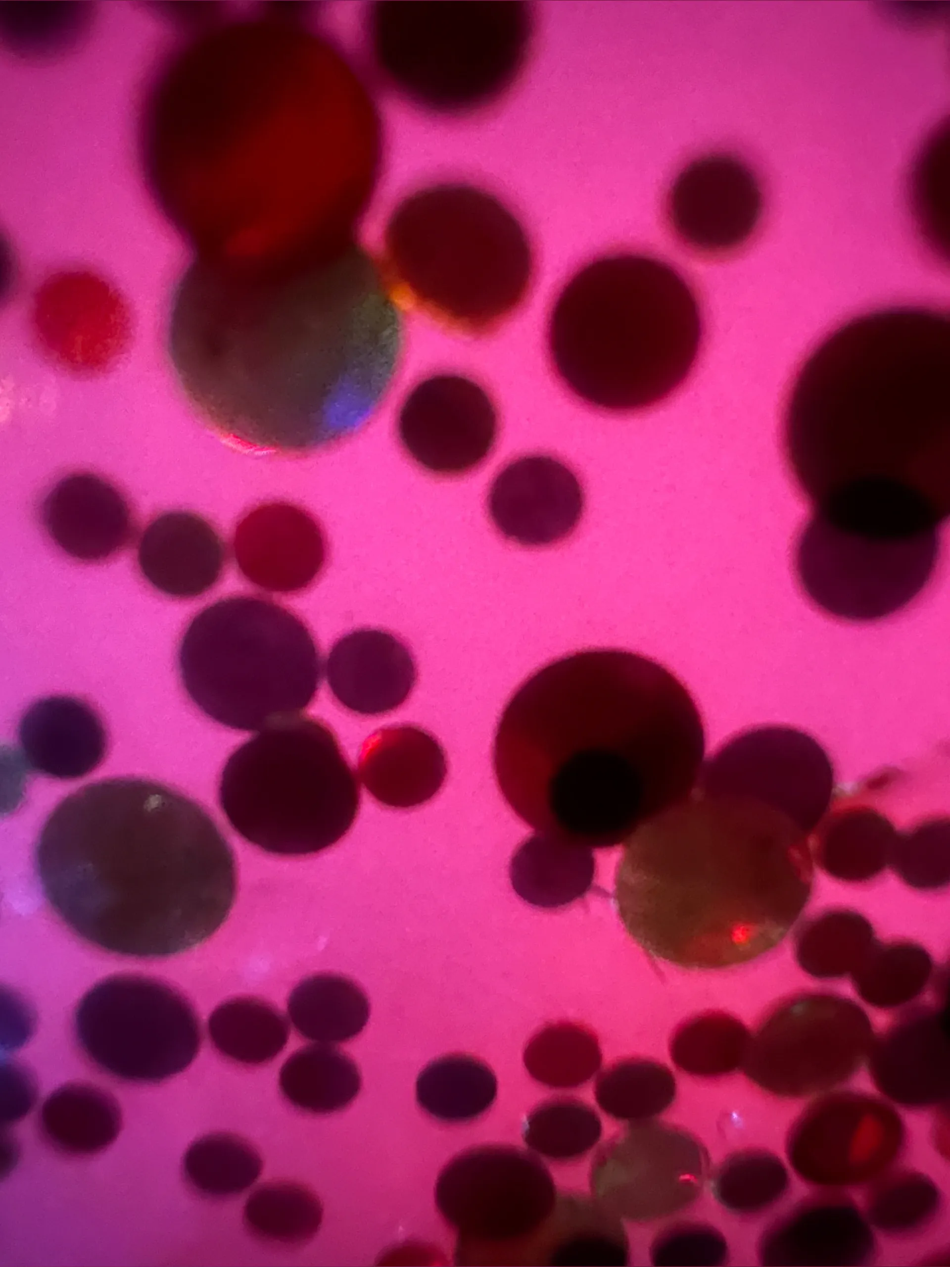 ForeignFeet OnlyFans header